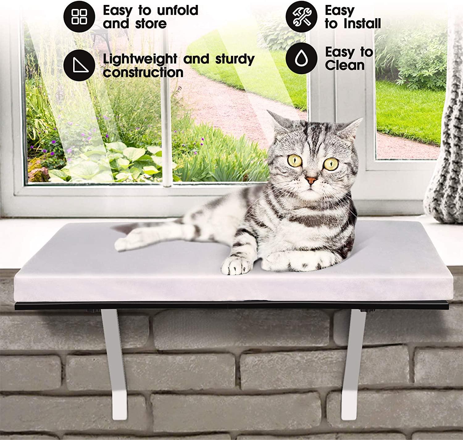 Cat window new arrivals seat perch
