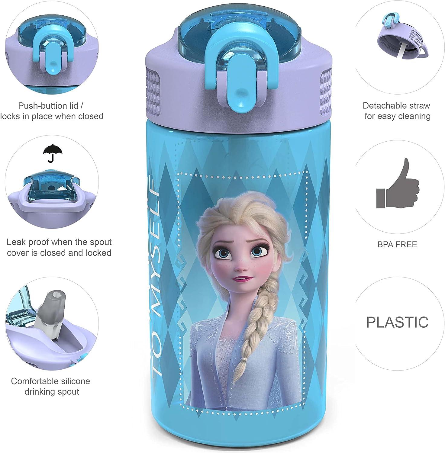 Frozen Water Bottle with Built-In Straw – Varieties Hub Co.