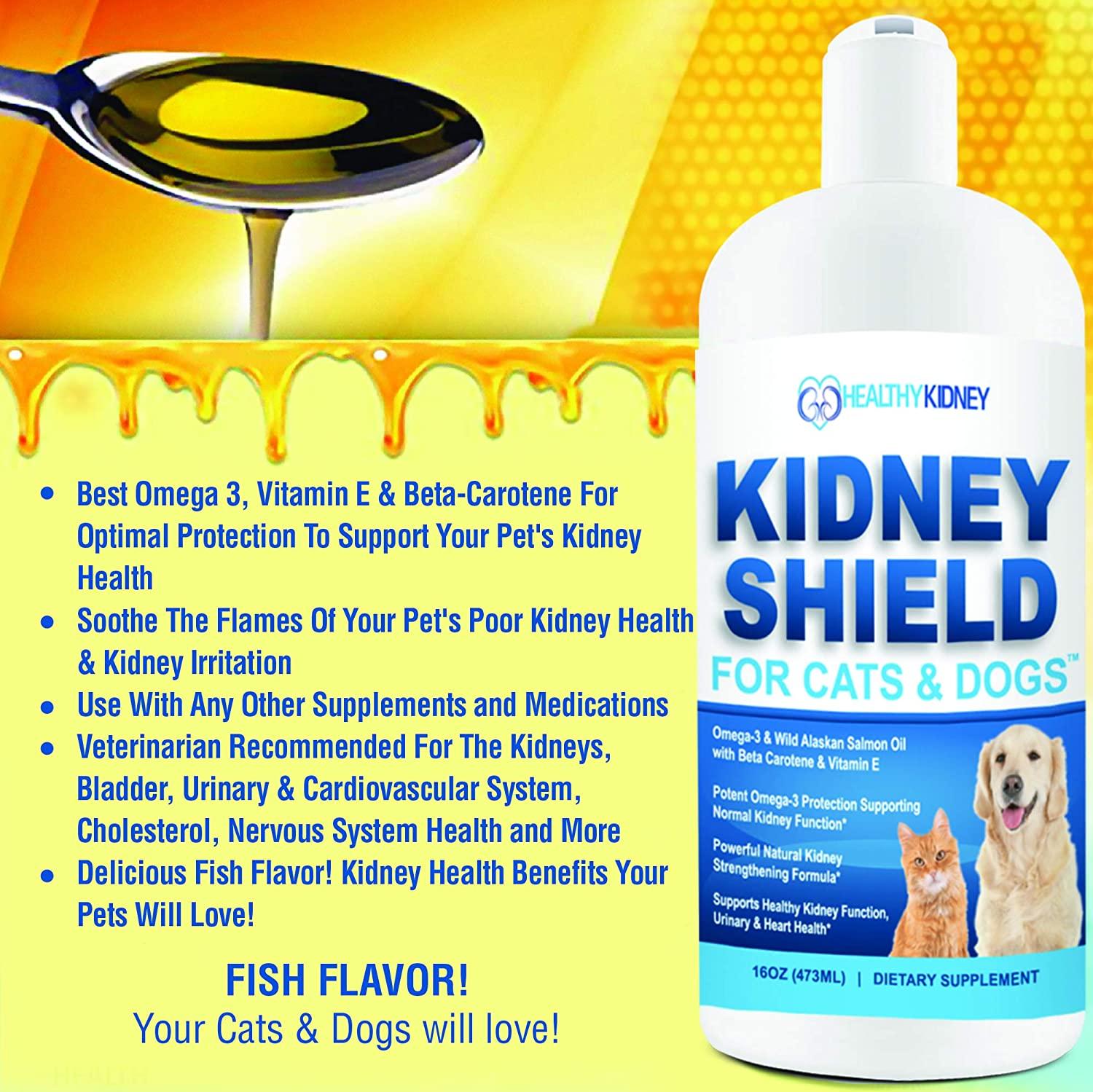 Best kidney supplement outlet for dogs