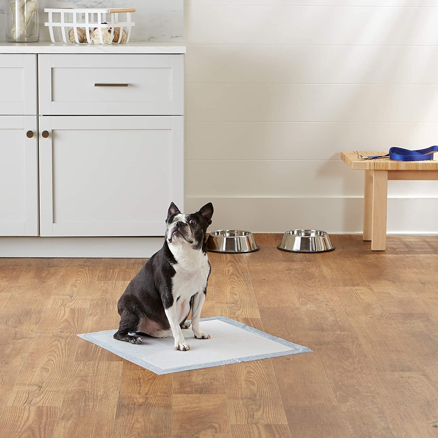 Amazon Basics Dog and Puppy Pads, Leakproof 5Layer Pee Pads with