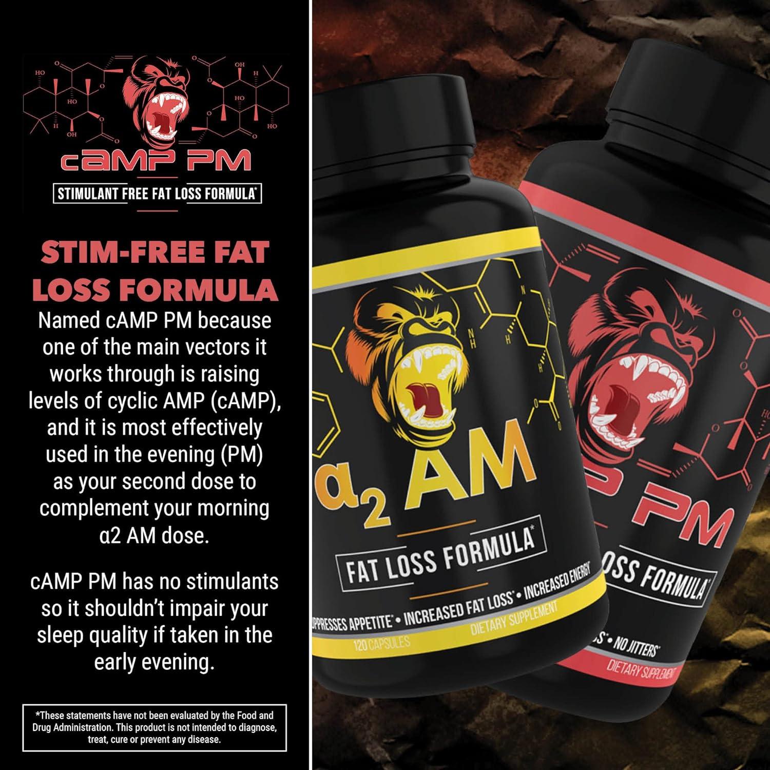 Gorilla Mind Camp PM Fat Burner Capsules Stimulant-Free Fat Loss  Formula/Suppresses Appetite Increased Fat Loss No Jitters (120 Capsules)