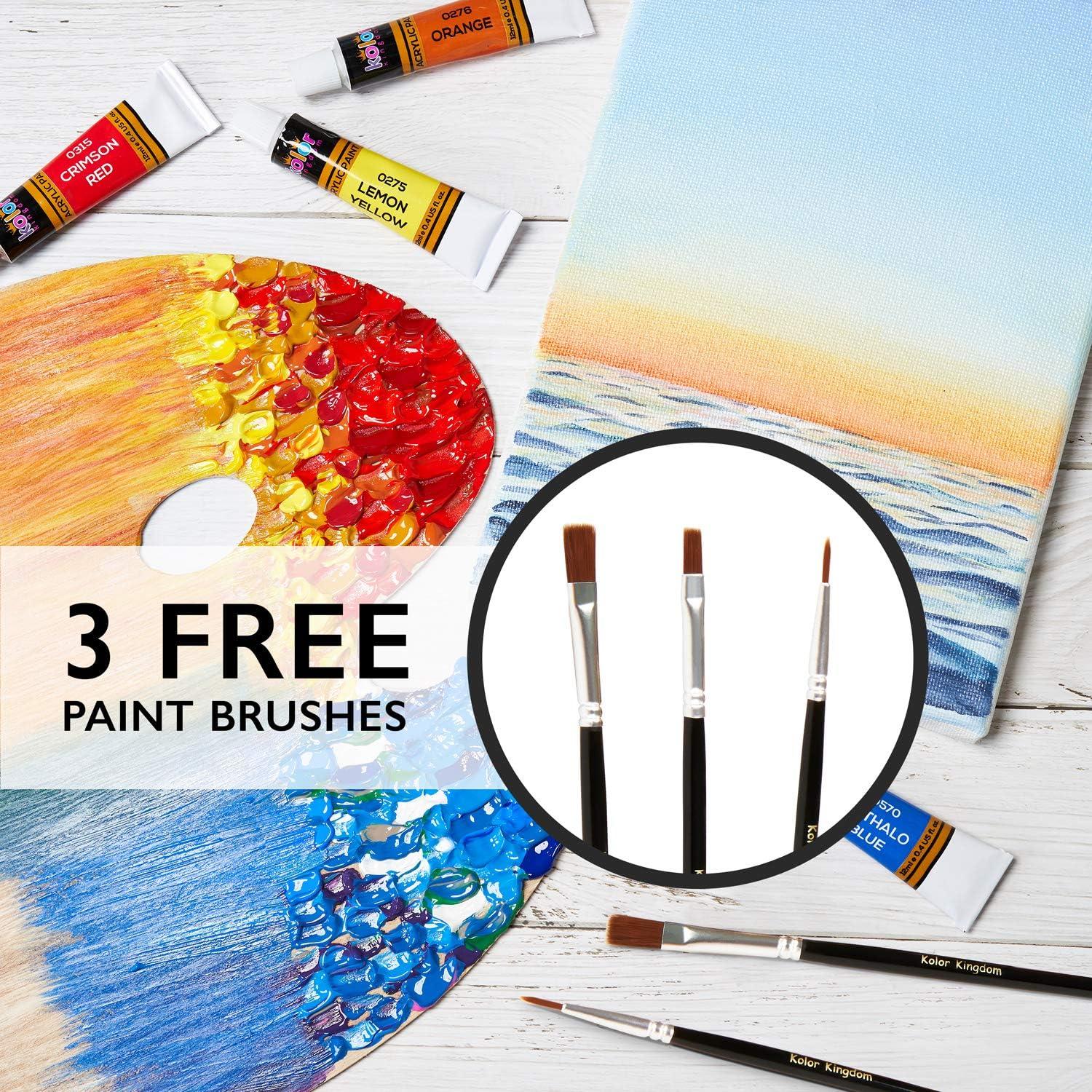 Acrylic Paint Set 24 Colors (0.41 oz 12 ml) Paint Kit For Artists