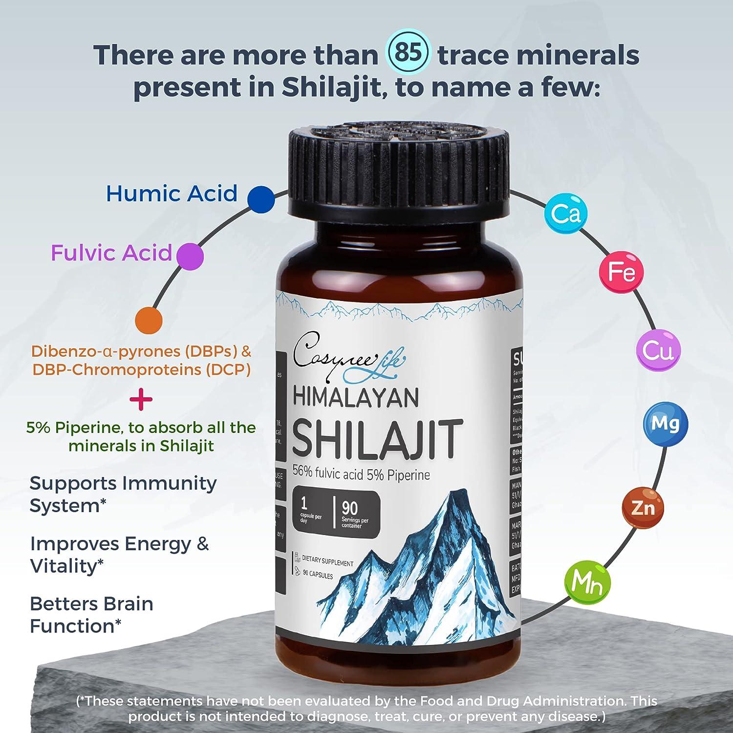 Pure Himalayan Shilajit Extract Capsules - 90,000 Mg Total, 90 Vegetarian Capsules With Fulvic Acid