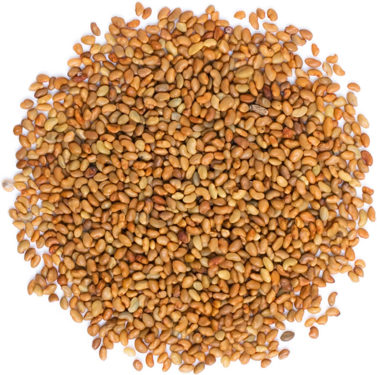 Organic Alfalfa Seeds for Sprouting, 3 Pounds NonGMO, Edible Seeds