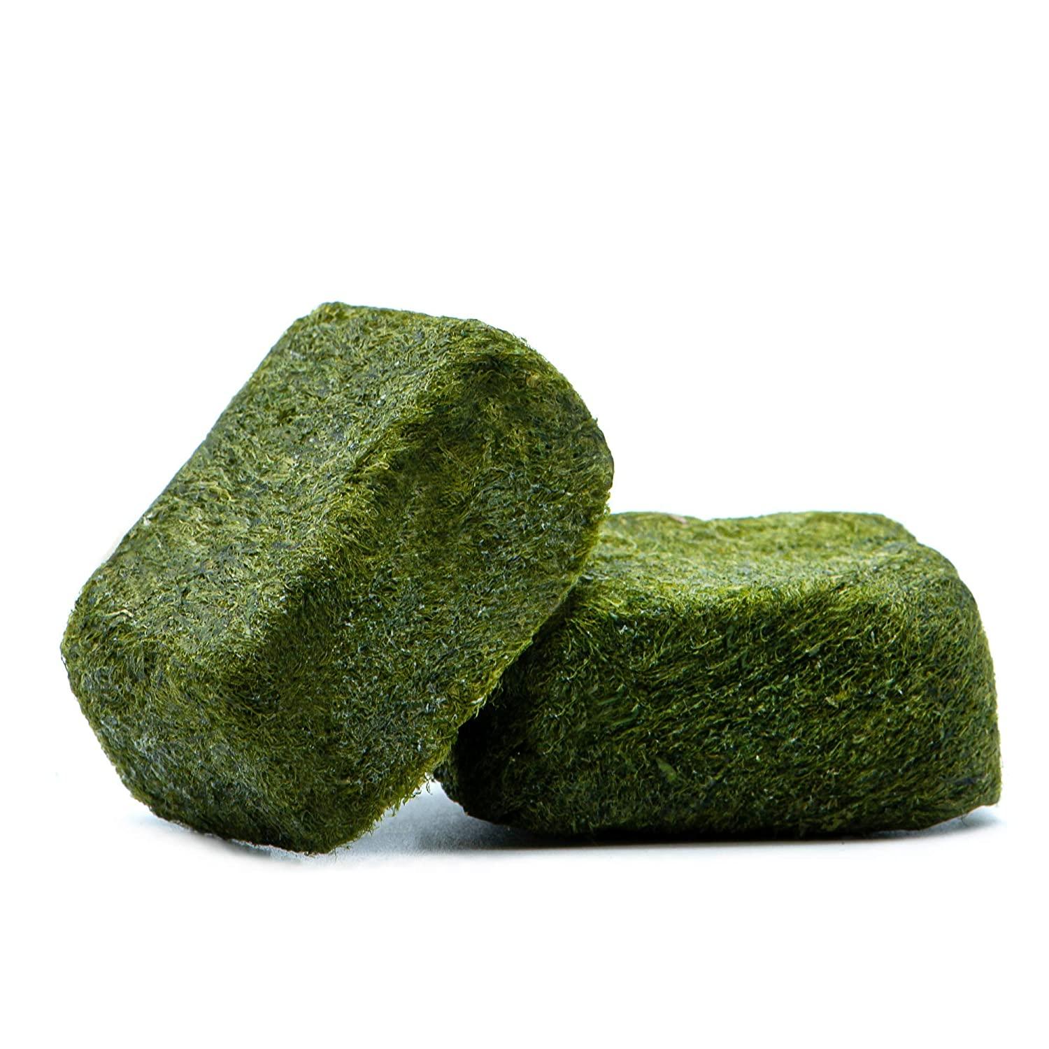 Dried Seaweed Cubes 20 PIECE Preserved Seaweed Fulvescens Low Carb