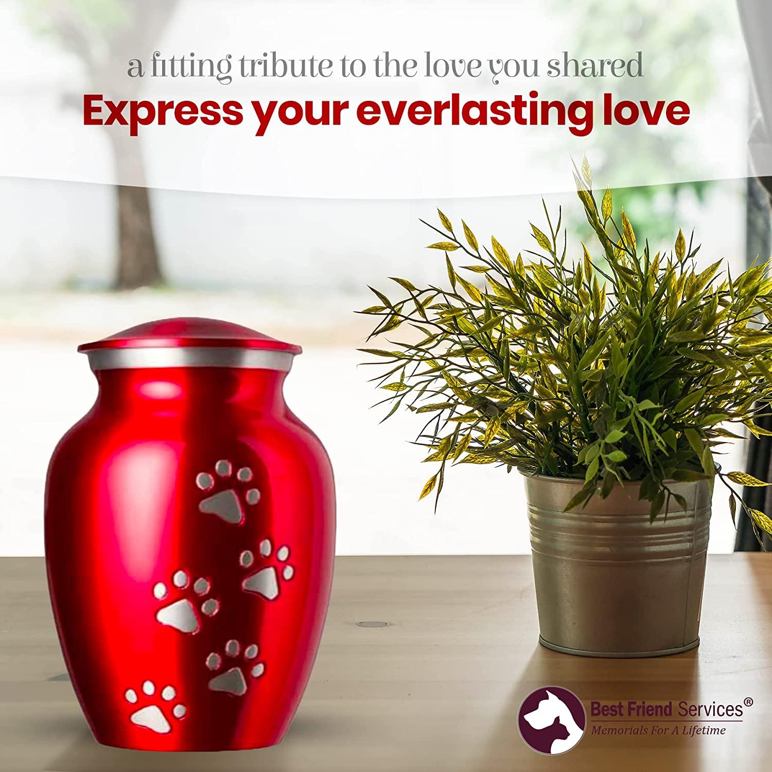 Best Friend Services Pet Urn Ottillie Paws Legacy Memorial Pet