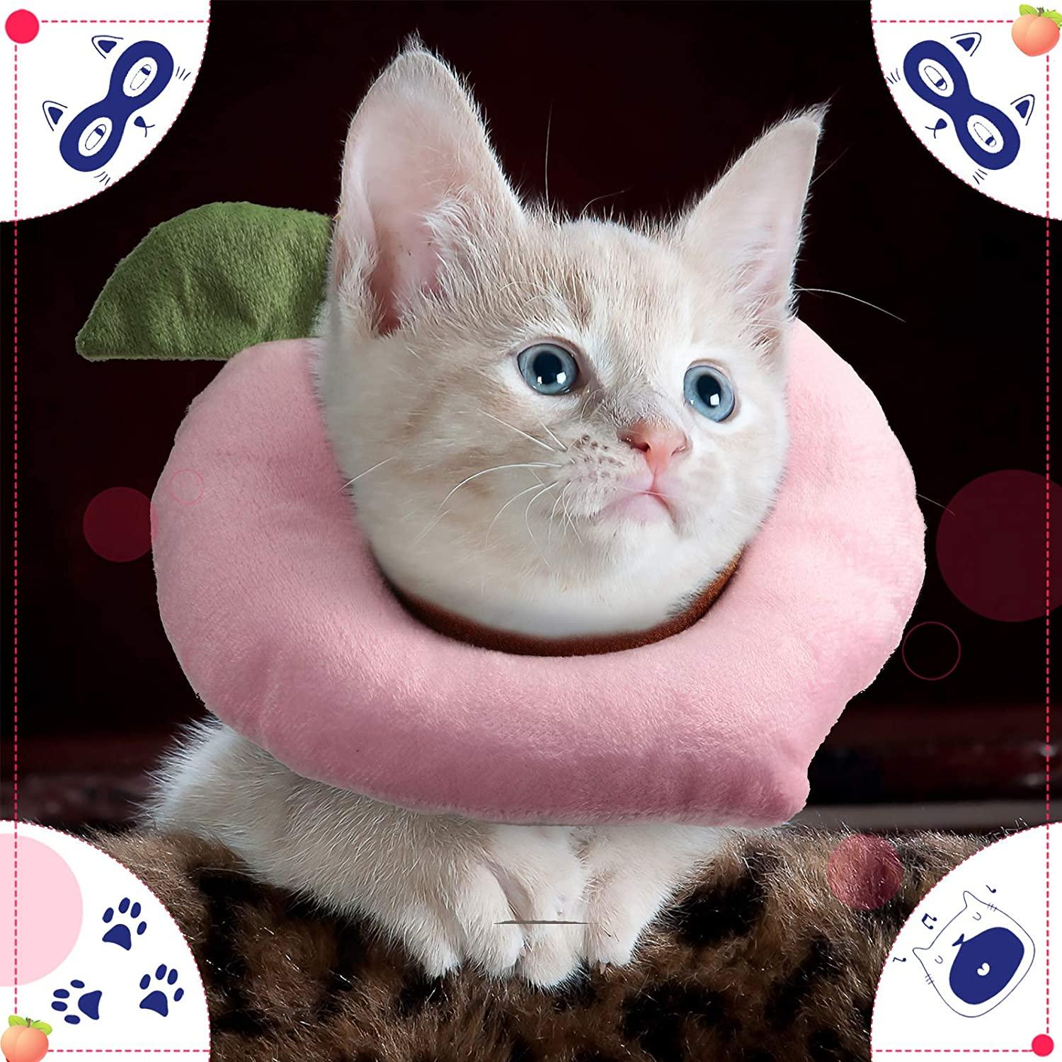 Padded cat collar sales