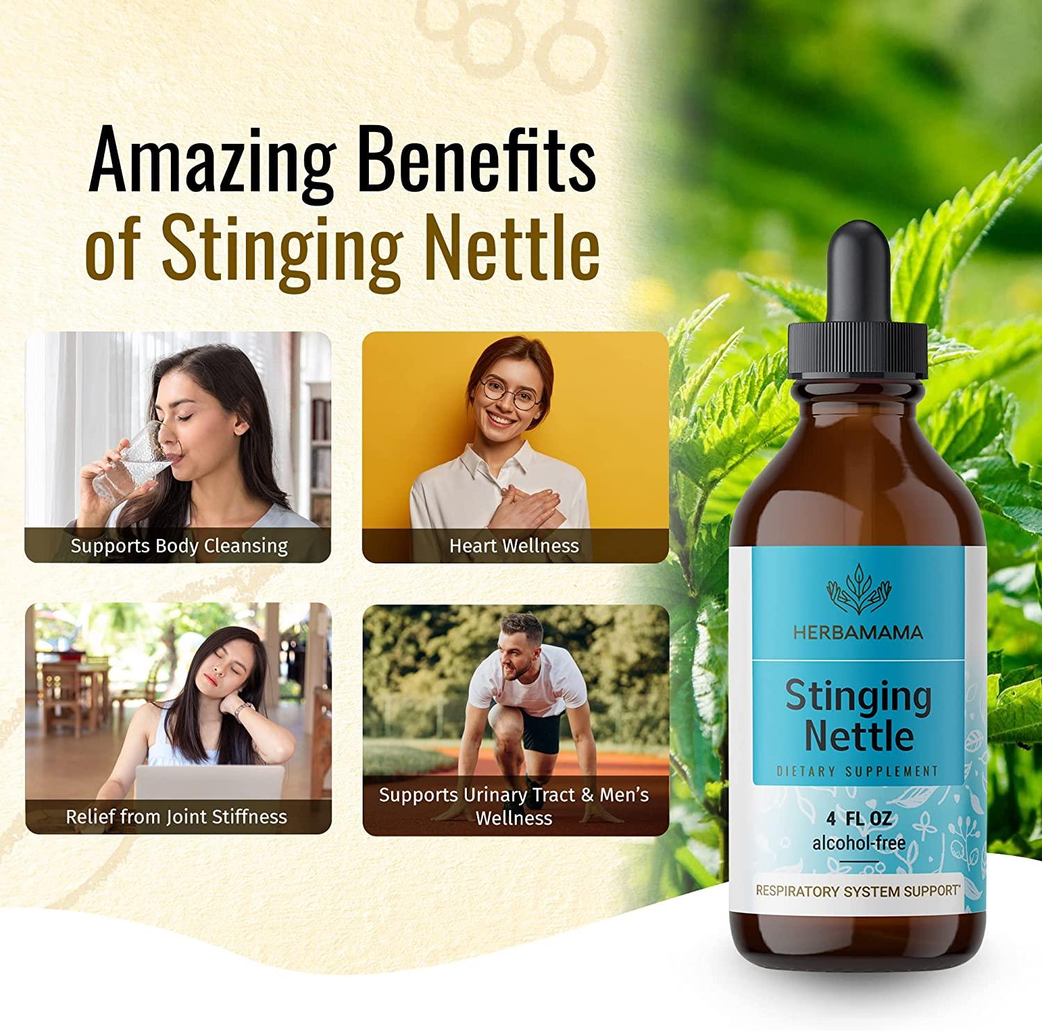 HERBAMAMA Stinging Nettle Liquid Extract Urtica Dioica Root Diet