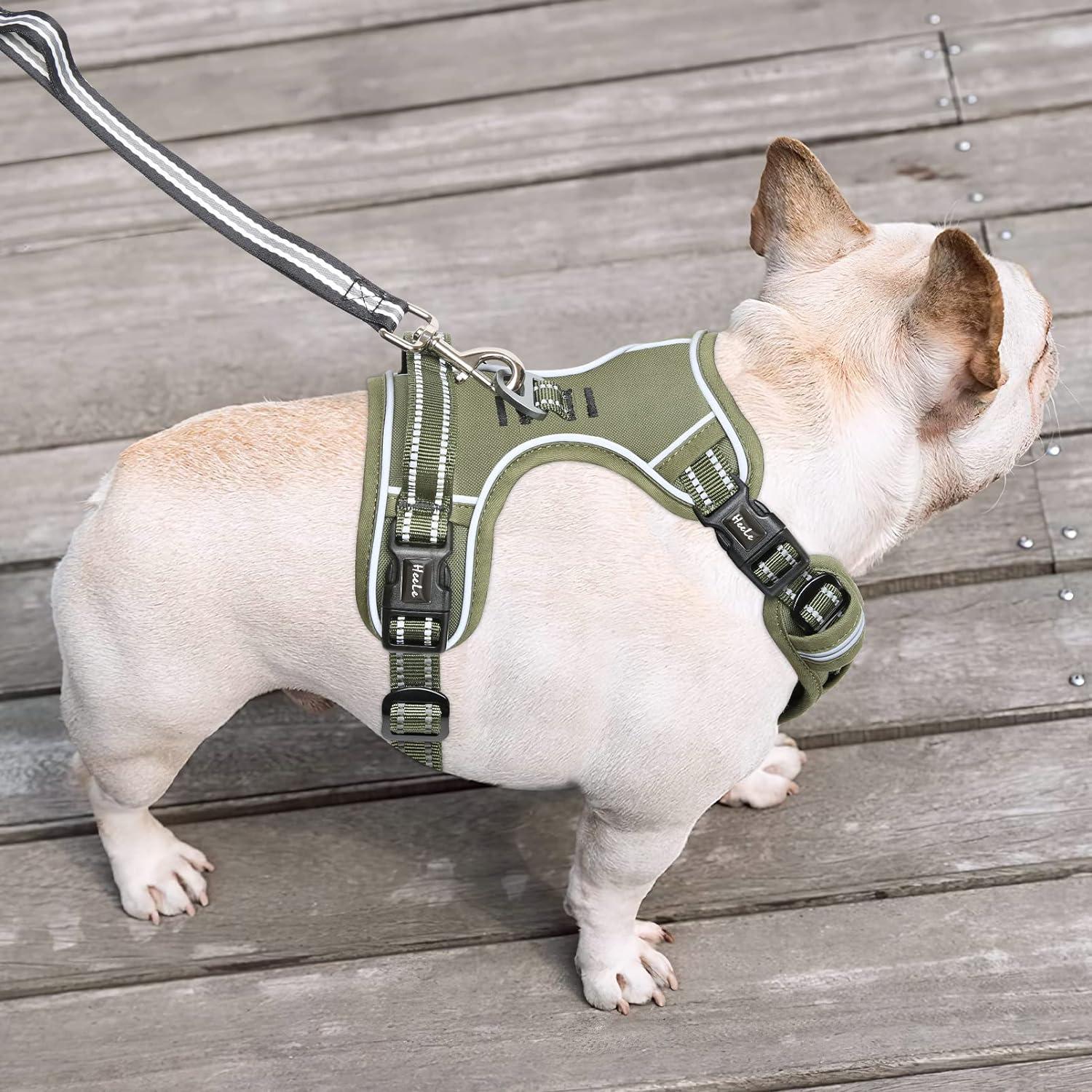 HEELE Dog Harness Harness For Small Dogs No Pull Dog Vest Harness For