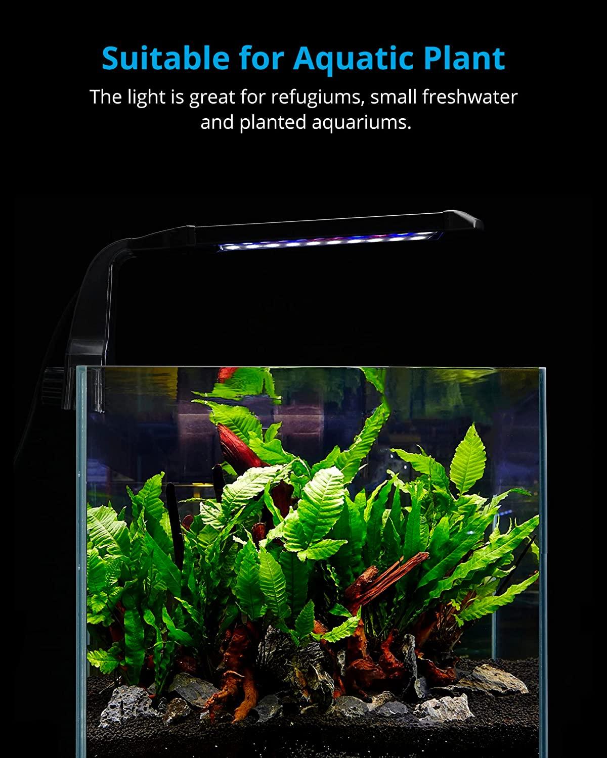 Clip on shop aquarium light