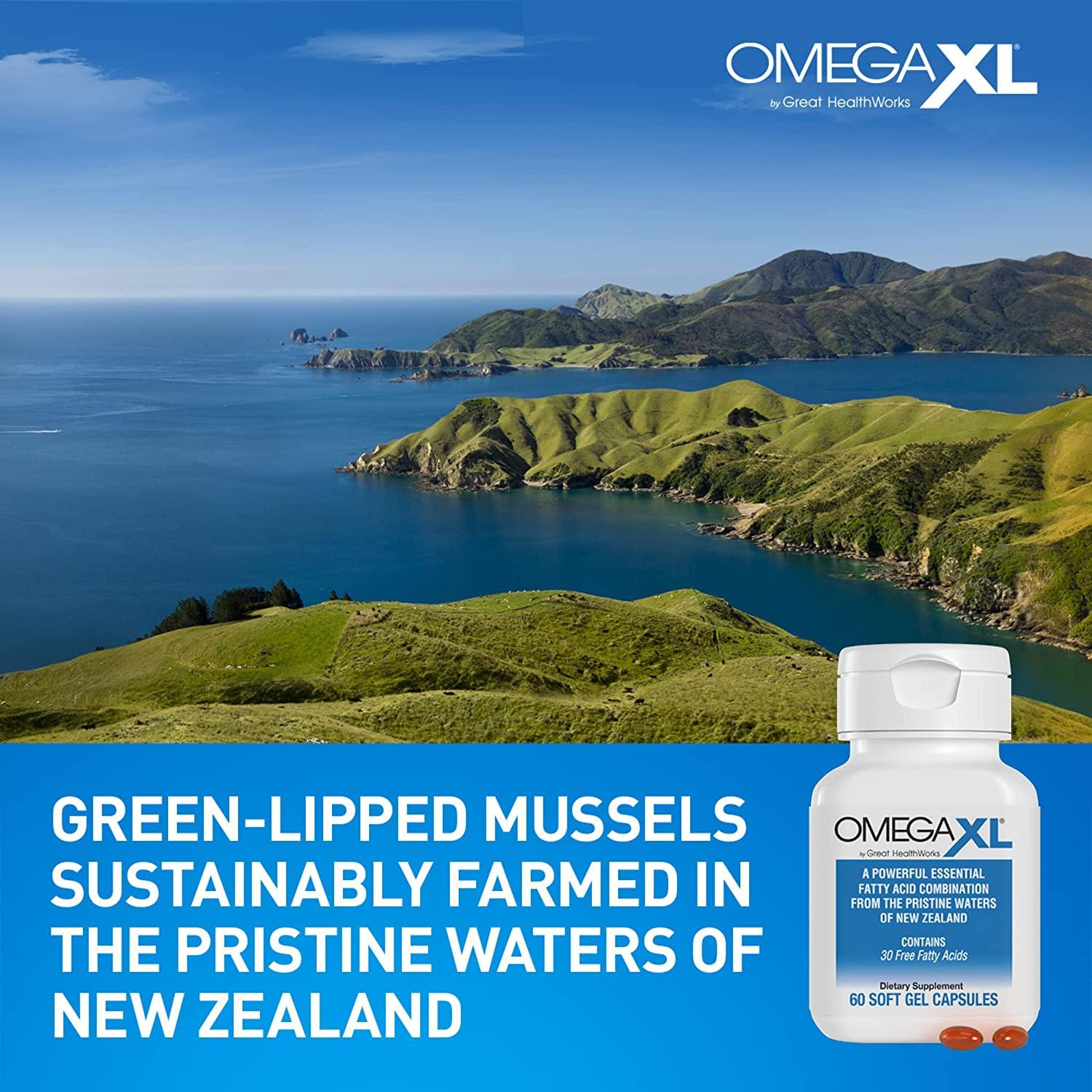 OmegaXL Green Lipped Mussel New Zealand Joint Pain Relief Supplement