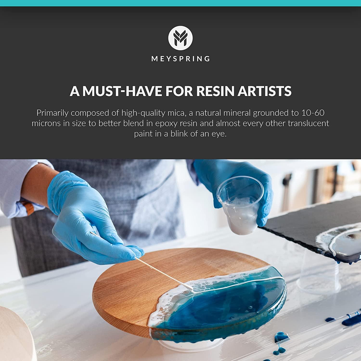 MEYSPRING Mica Powder For Epoxy Resin - Two Tone Collection Mineral Pigment Set 100g