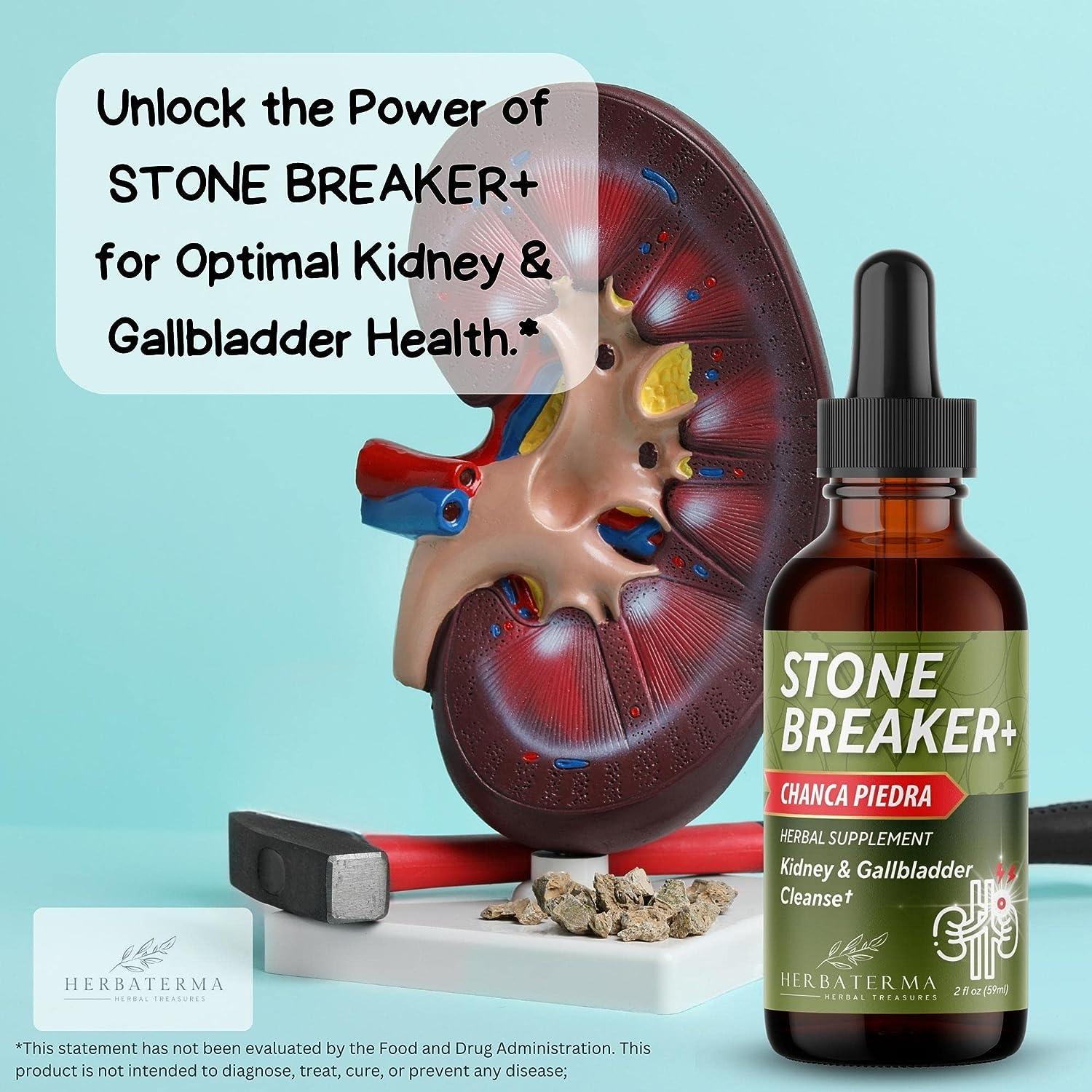 Chanca Piedra Stone Breaker Liquid Formula Complete Kidney