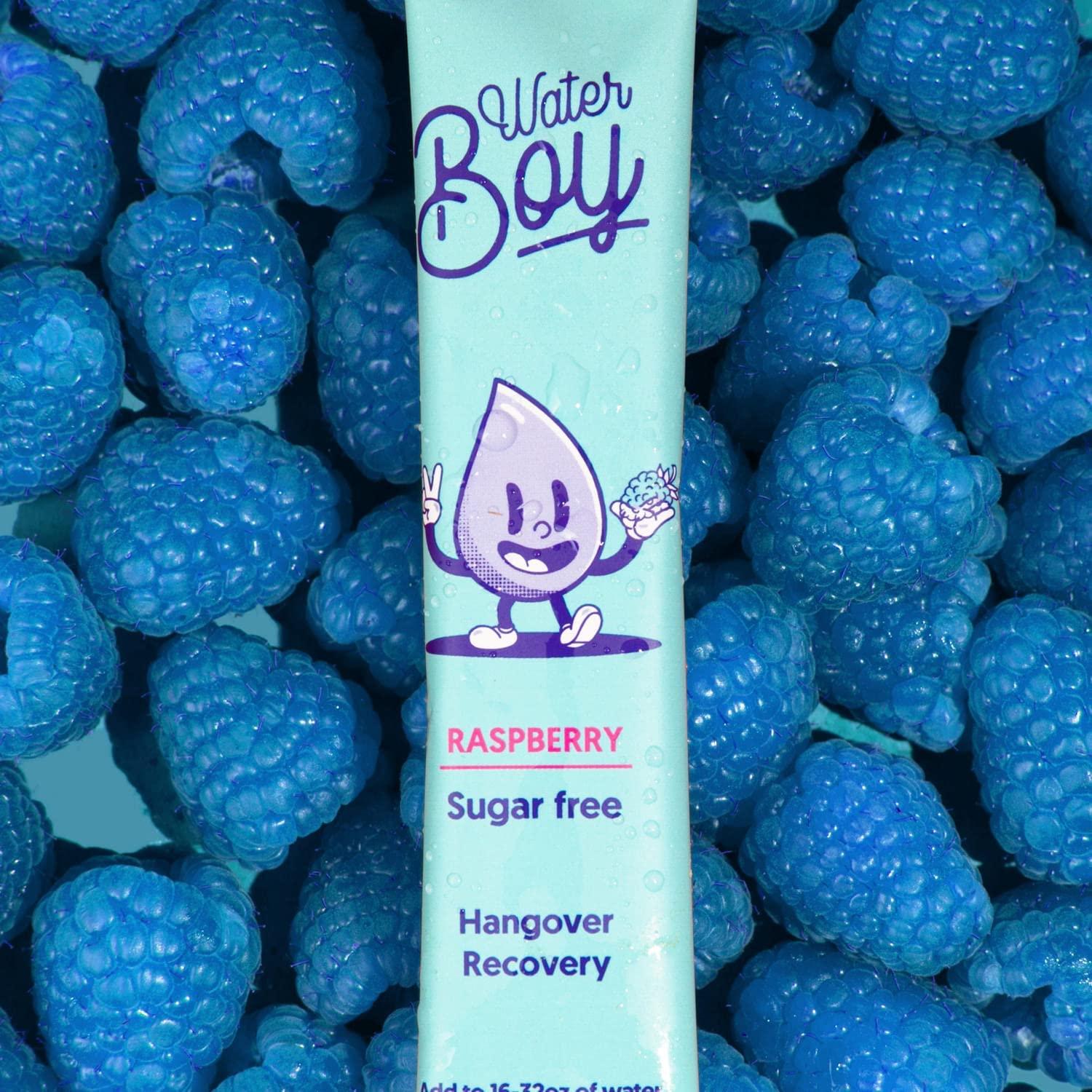 Waterboy Hangover Relief Electrolyte Powder Packets 3170mg of Electrolytes for Adults to help