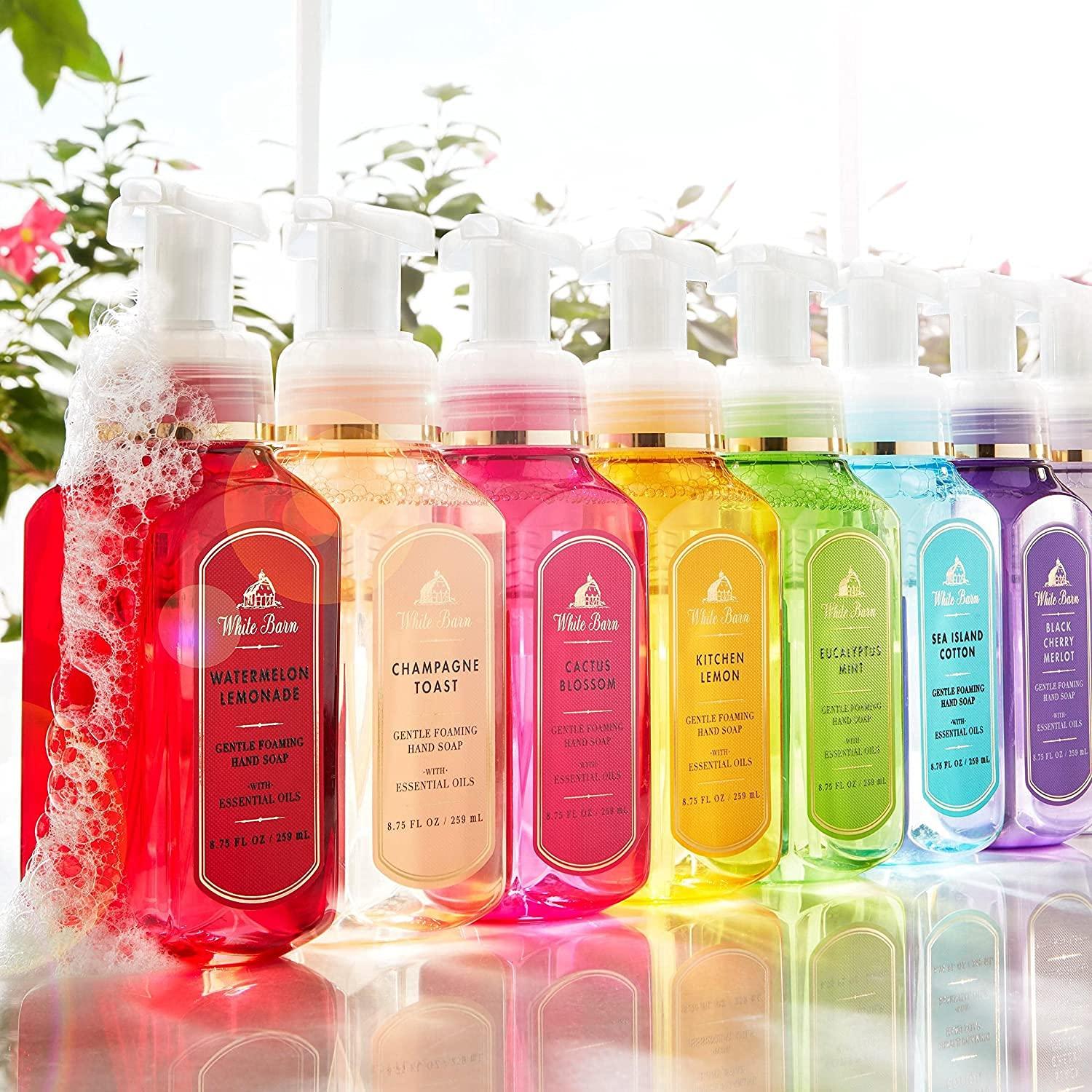 Bath and Body Works Endless Weekend 8.75 oz Gentle Foaming Hand