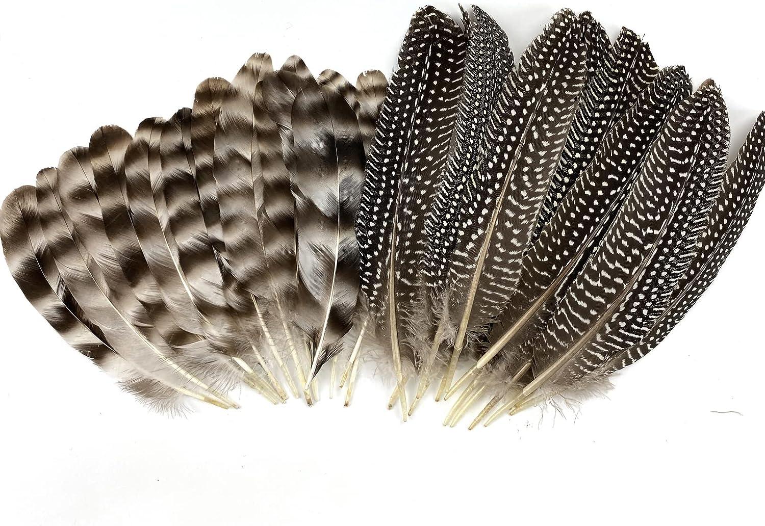 10pcs Gold Feathers Natural Turkey Chicken Goose Plumes Wedding Carnival  Hats Decoration Feathers for Crafts 10-40cm-gold 15-20cm