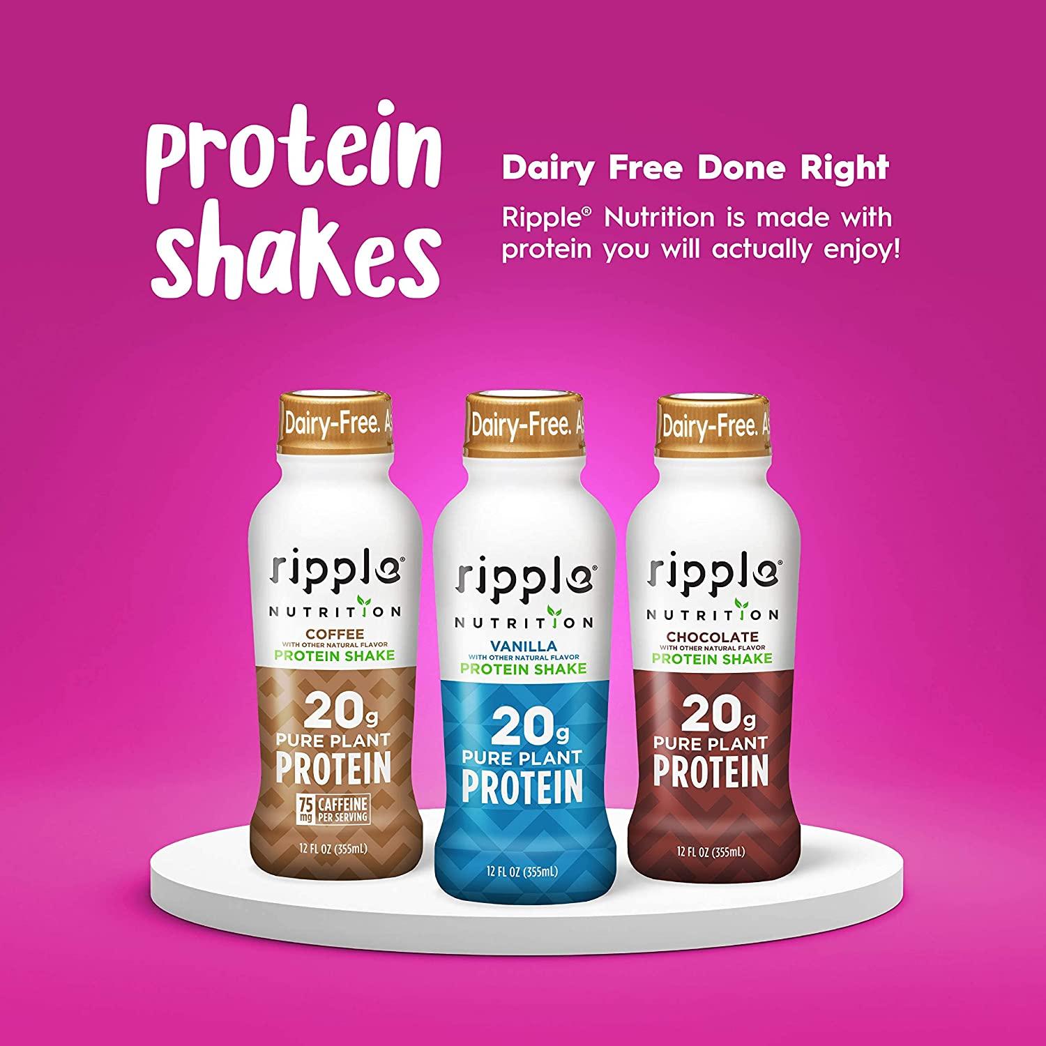 GROUNDED Vegan Protein Shakes  12 X 490ml Chocolate Protein Shakes 20g Vegan Protein Per Drink Nature Made Dairy Free Gluten Free Nutrition In Every Bottle 100 Recyclable Packaging