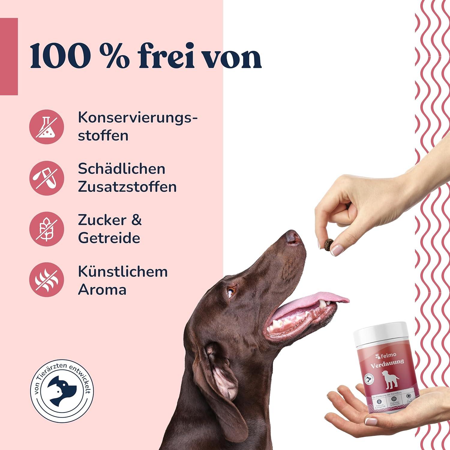 katzen futterautomat nassfutter UBpet F10 Futterautomat  Kattenu