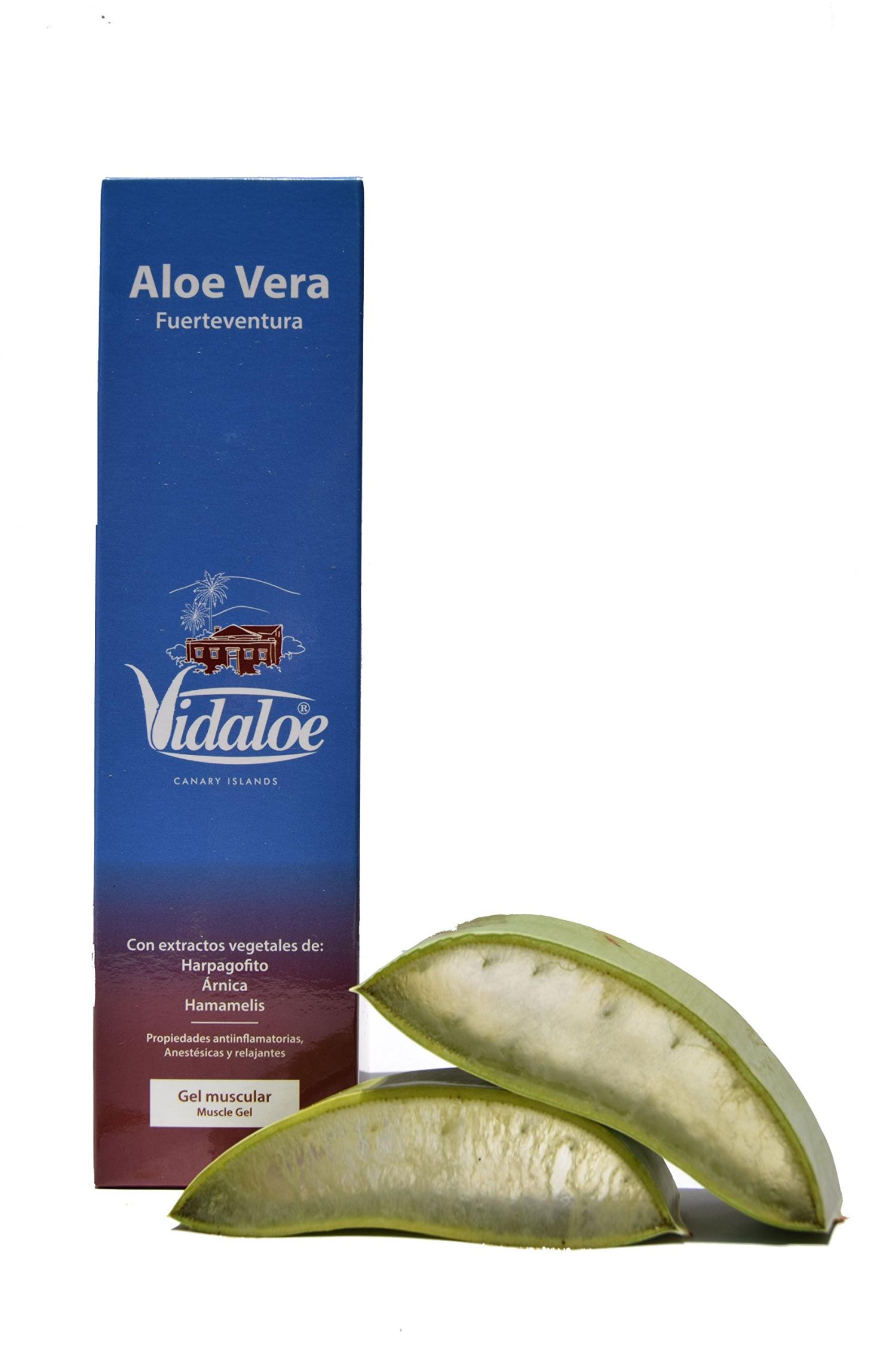 Vidaloe Aloe Vera Muscle Gel 250ml - Soothing Relief for Muscle Pain | Buy  Internationally | Buy Now with Express International Delivery | GoSupps.com