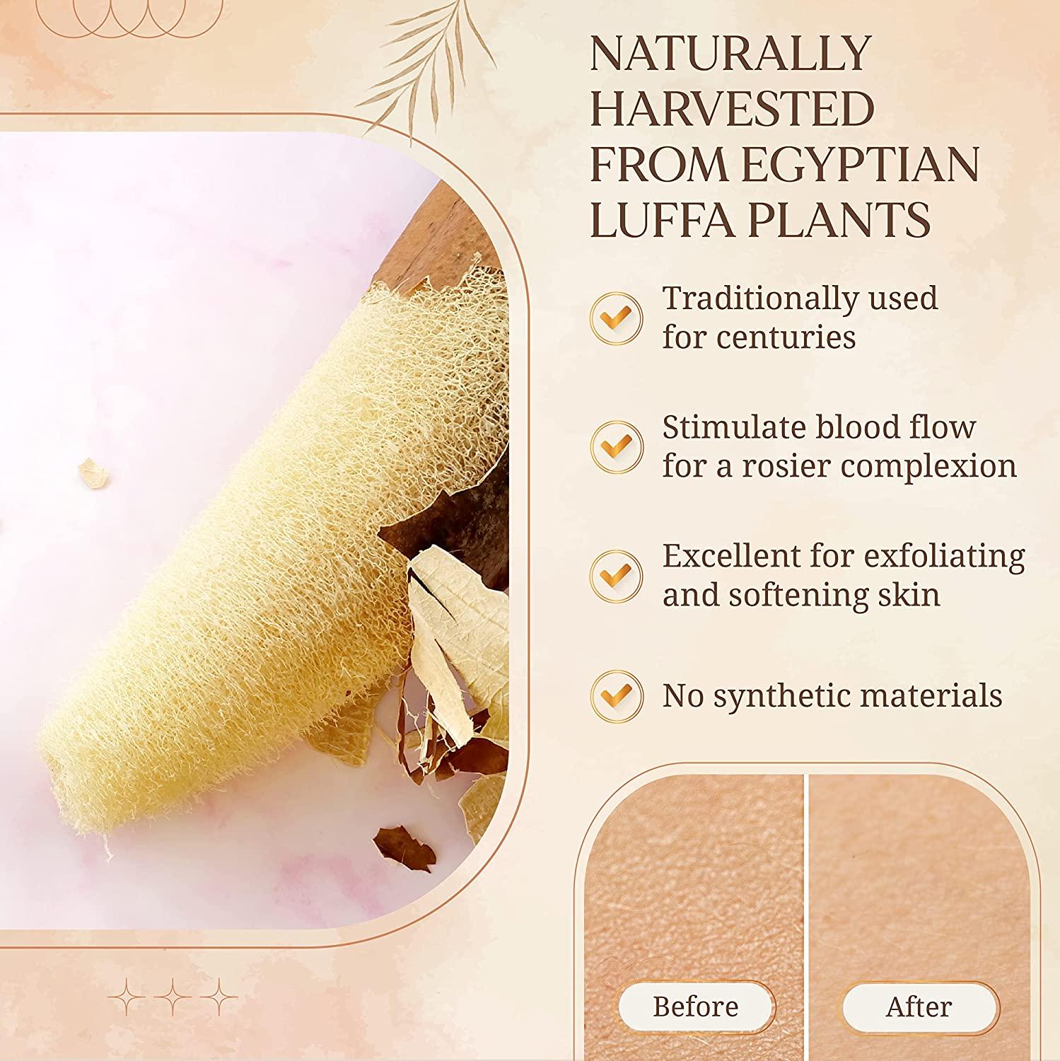 Egyptian Natural Loofah Sponge Exfoliating Body Scrubber Our Bath