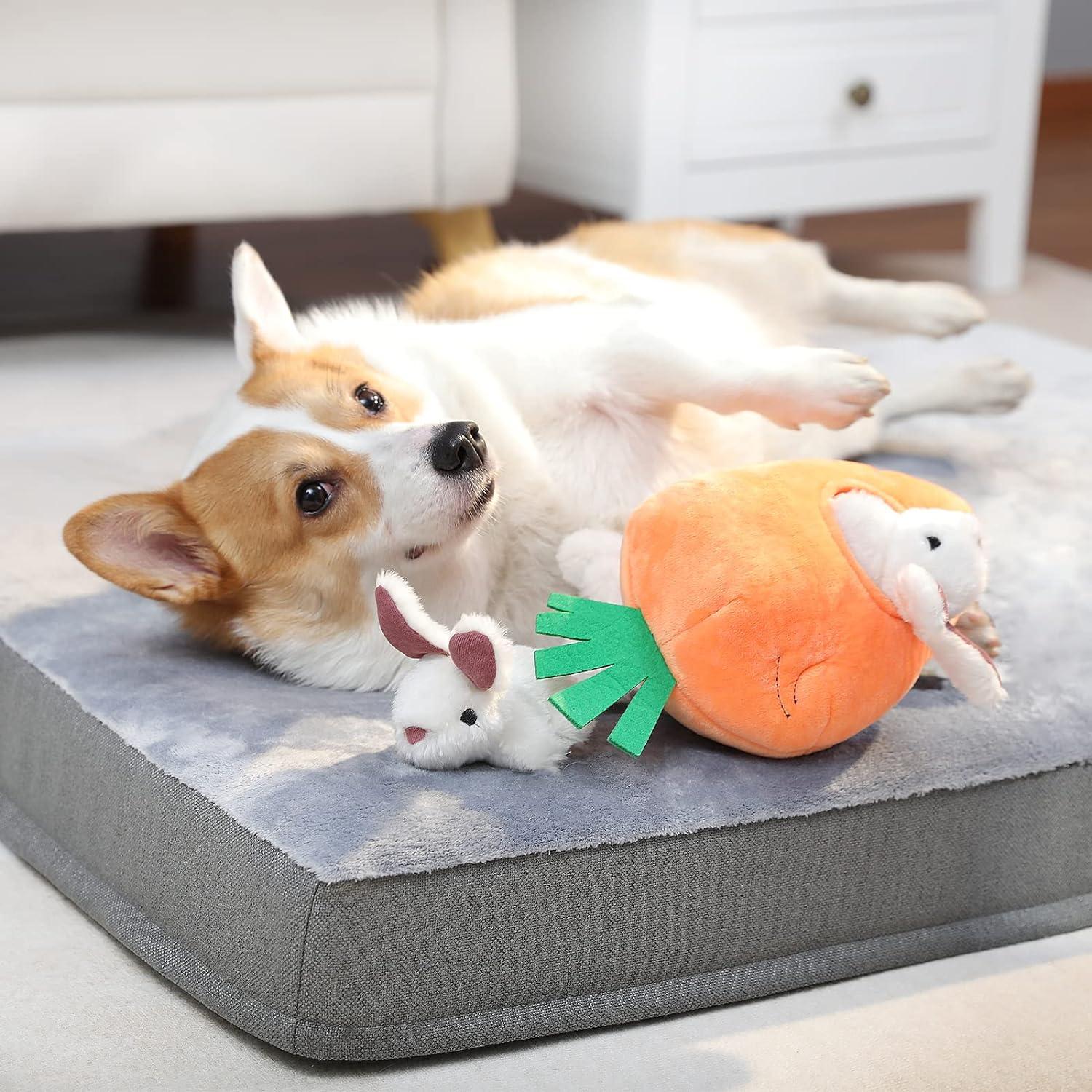 Amazon Basics Hide and Seek Squeaky Dog Plush Toy Rabbit and Carrot Orange  and White 5 Count | Buy Now with Express International Delivery |  GoSupps.com