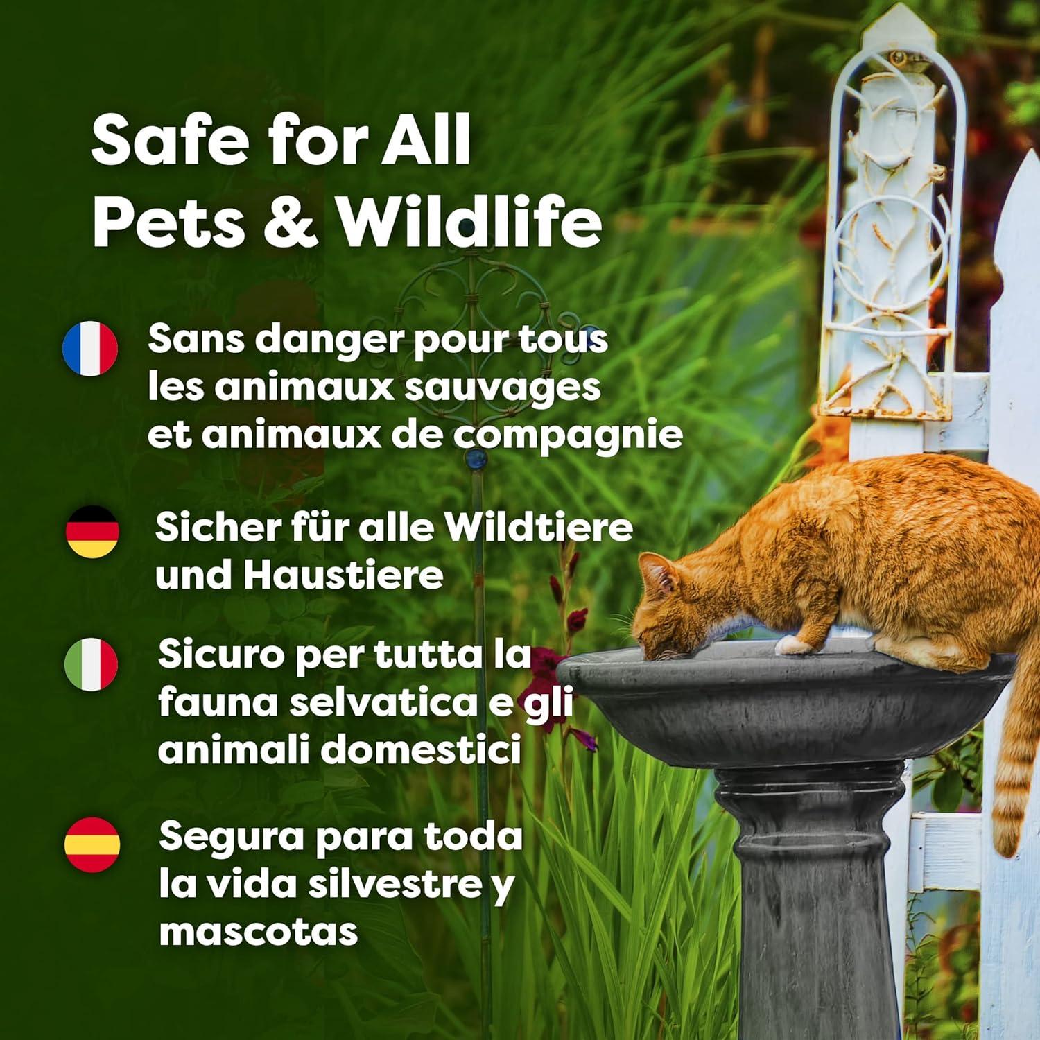 envii Water Feature Klear Natural Water Feature Cleaner Chemical Free