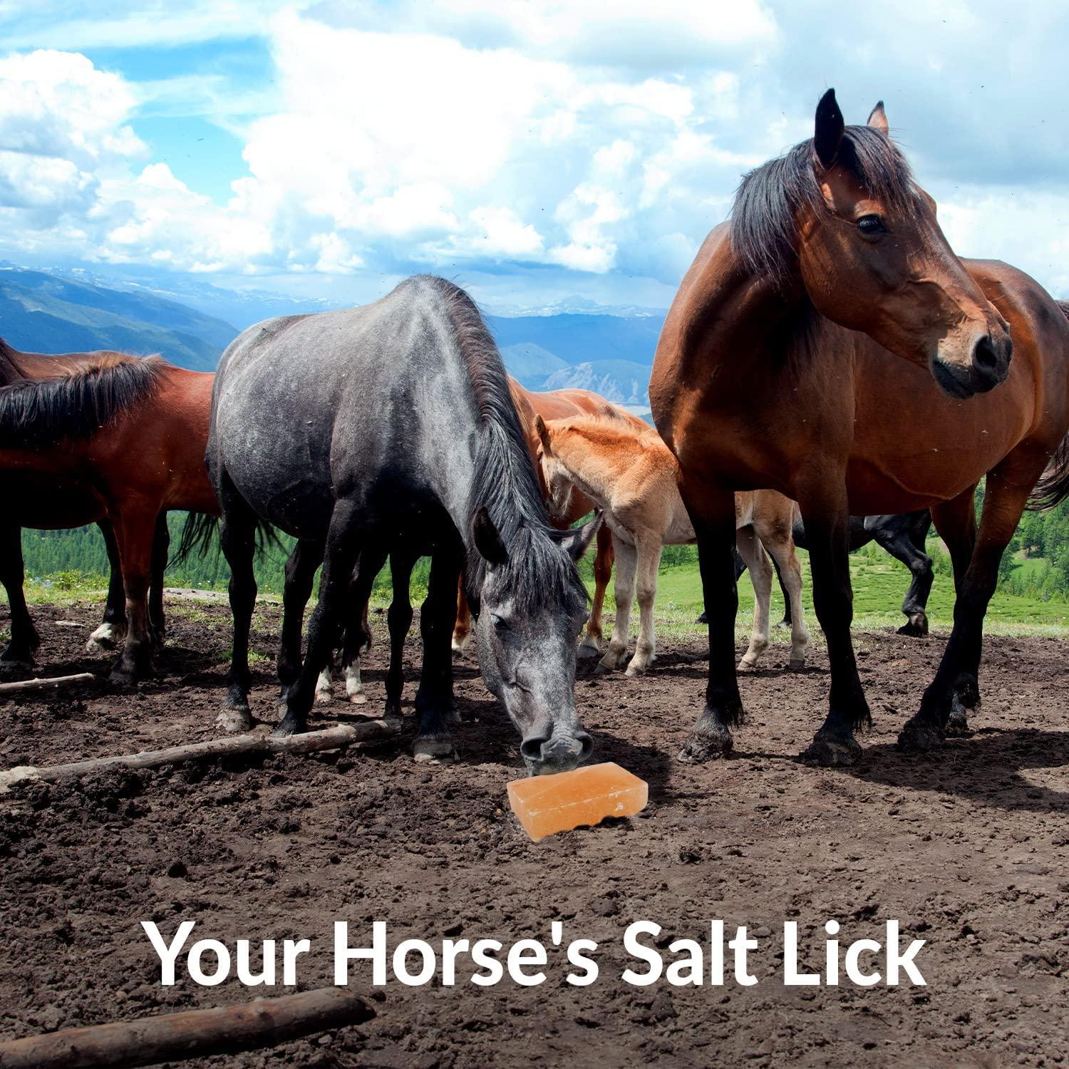 Himalayan Nature Licking Salt for Horse 2 Pack, Pink Pack of 2