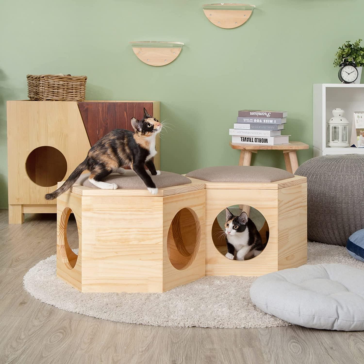 MYZOO Busy Cat, Chair Plate, Chair for People & Cats Scratching