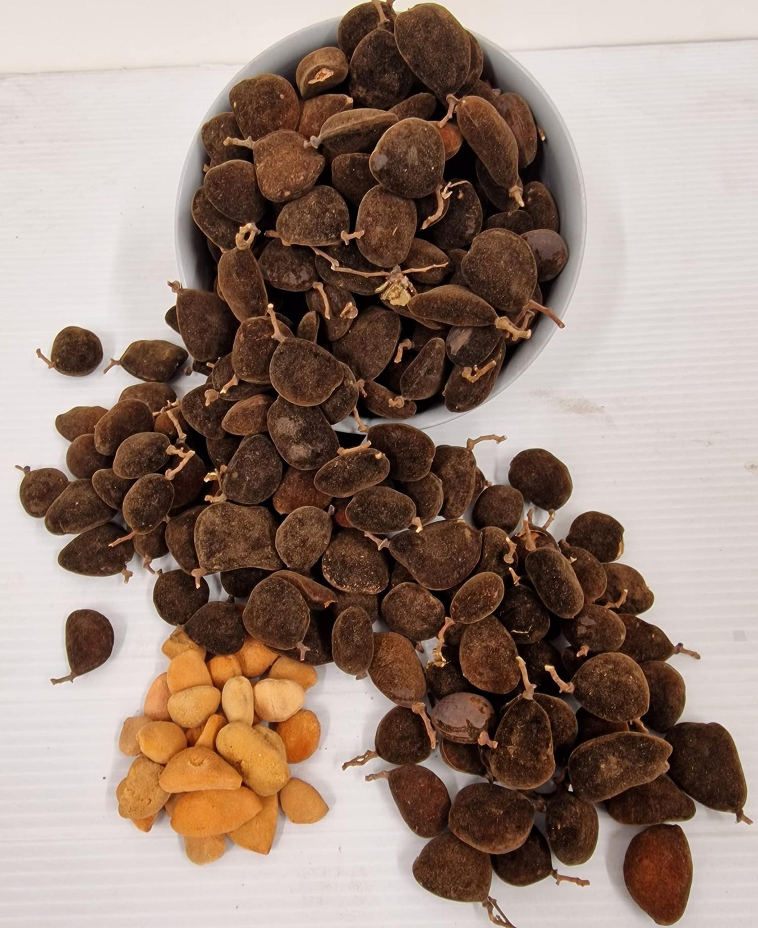 Awin(Velvet Tamarind)