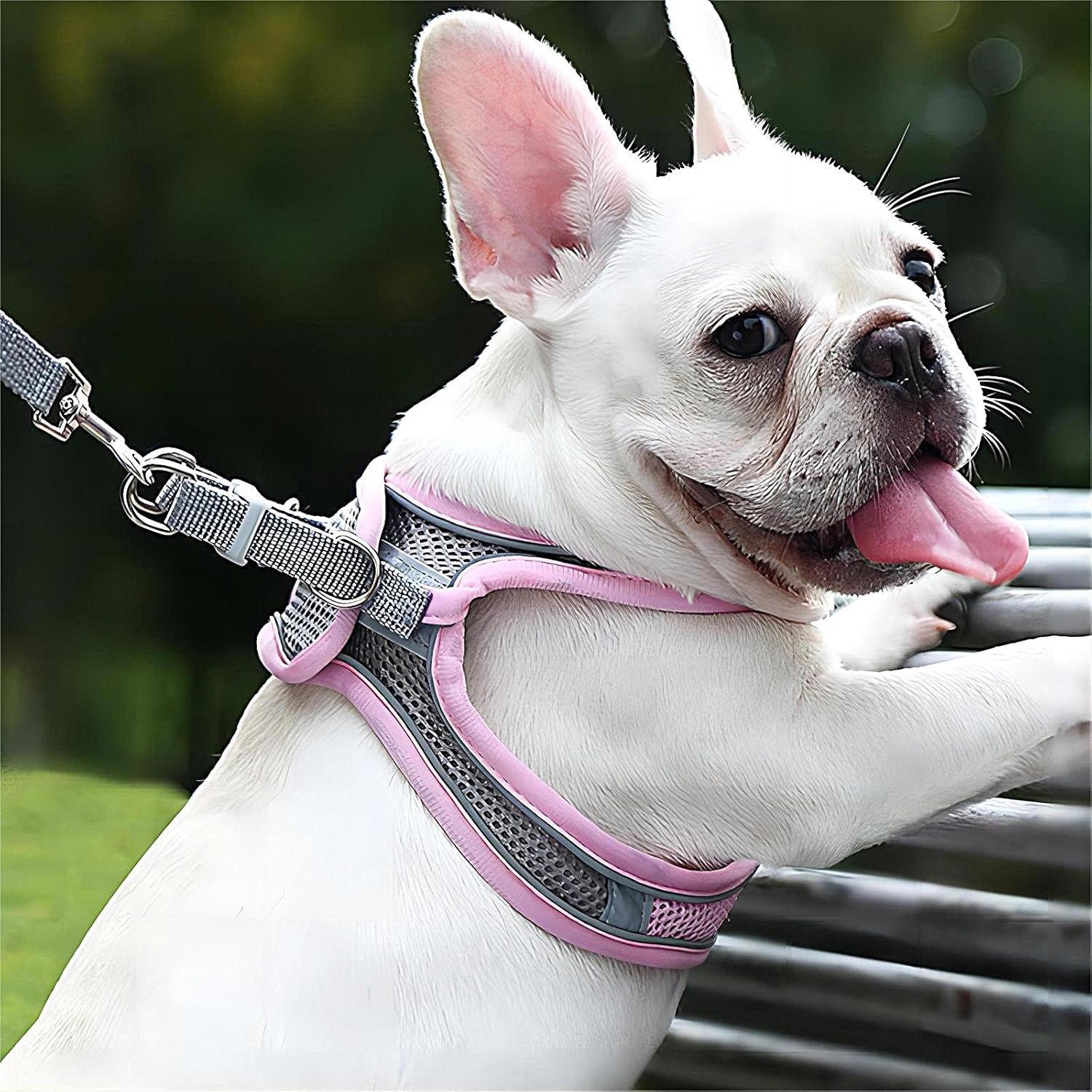 Buy Giapinst No-Pull Dog Harness for Small Dogs Adjustable
