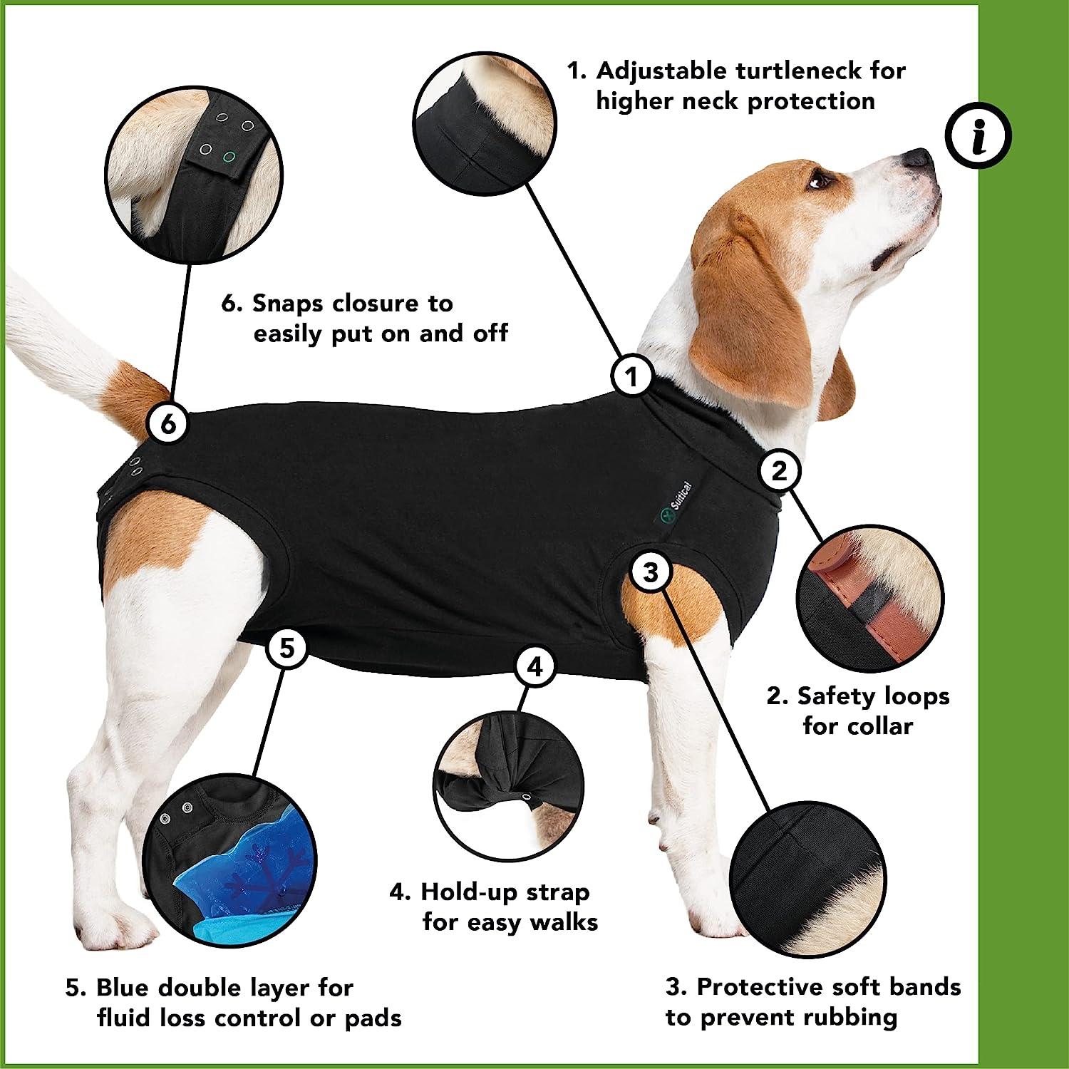 Suitical Original Recovery Suit - Breathable full body shirt. Protects  wounds, sutures, skin conditions, light incontinence, when in heat, after  surgery spay/neuter and more Professional alternative to dog cone (M -  Black)