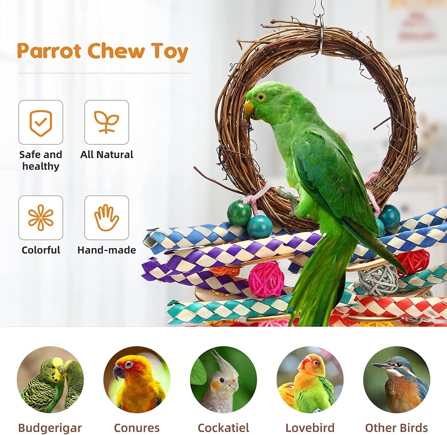 Safe hotsell parrot toys