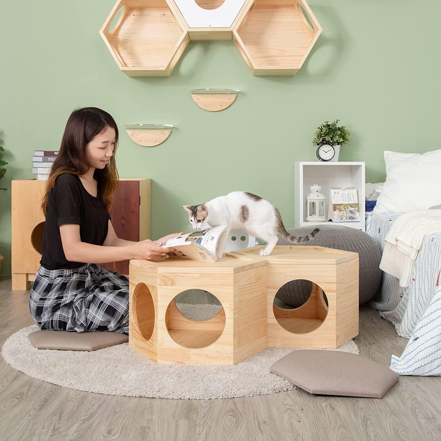 MYZOO Busy Cat, Chair Plate, Chair for People & Cats Scratching