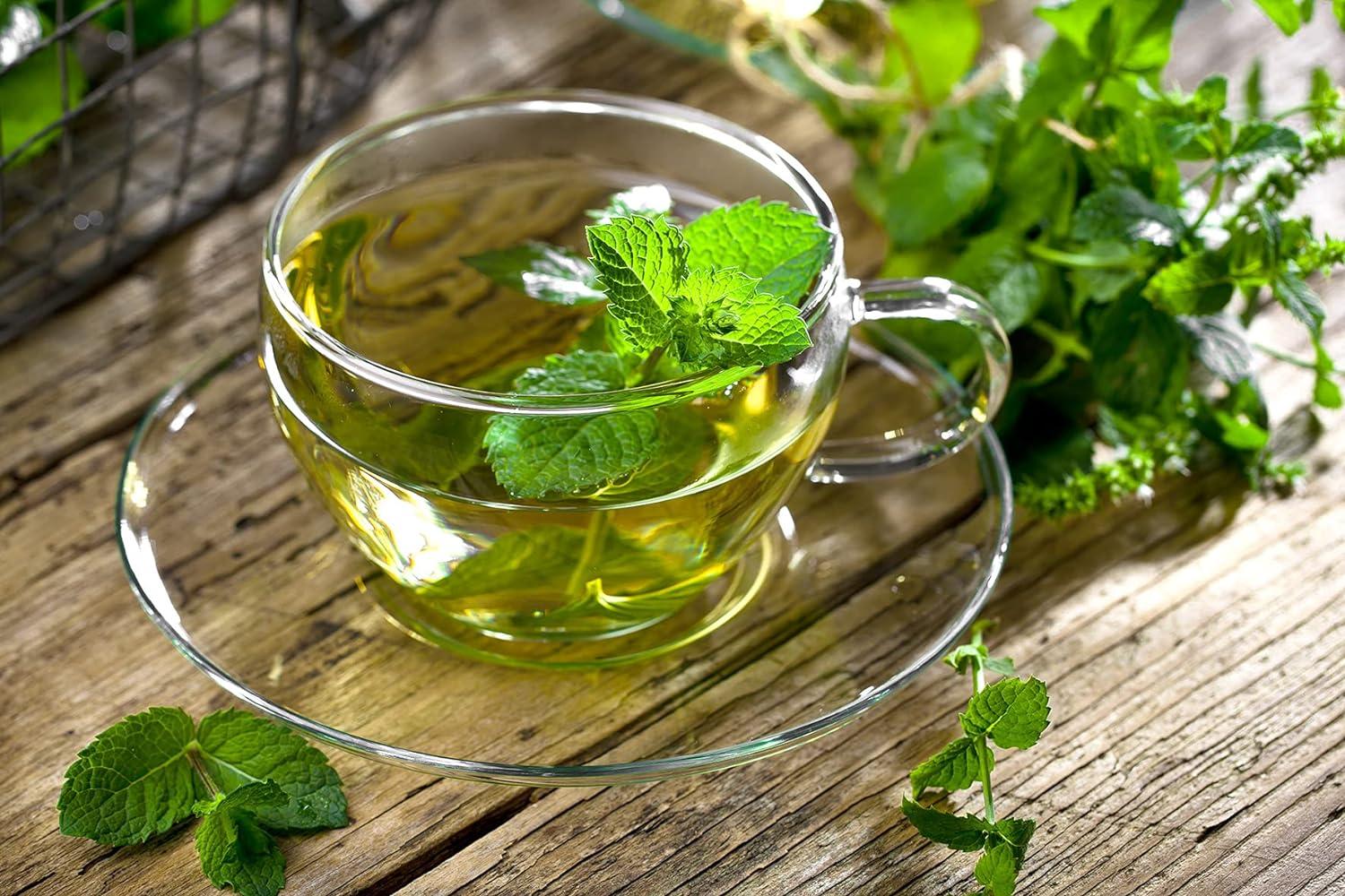 Me mer Fresh Mint with Spearmint - 23 Vegan Gluten-Free Lactose-Free ...