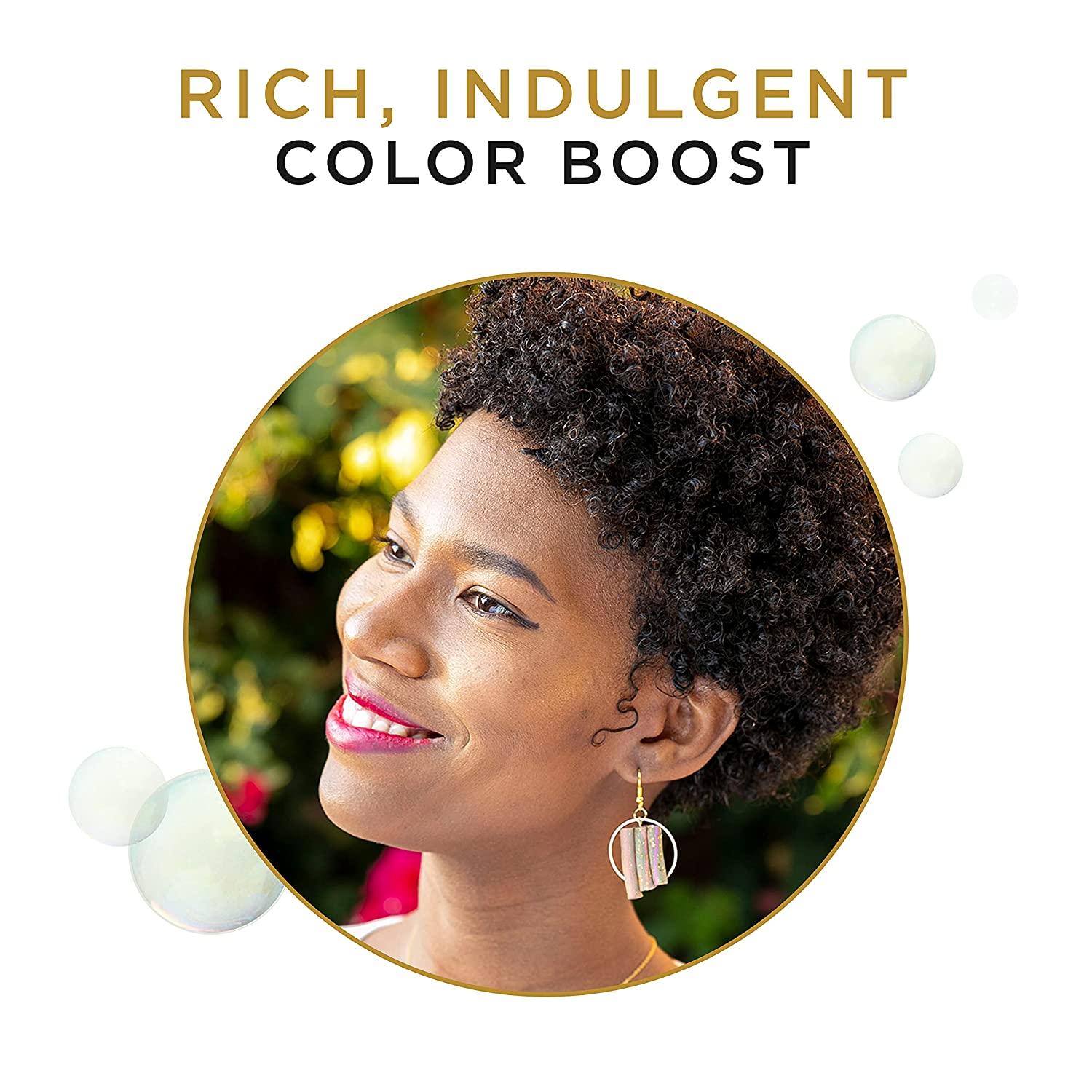 Clairol Professional Beautiful Collection 22d Jet Black SemiPermanent