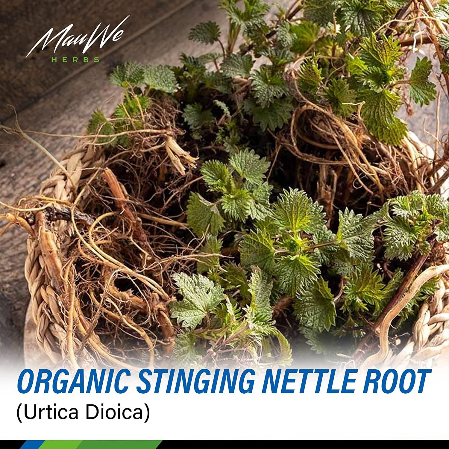 Mauwe Herbs Stinging Nettle Tincture Nettle Root Liquid Supplement