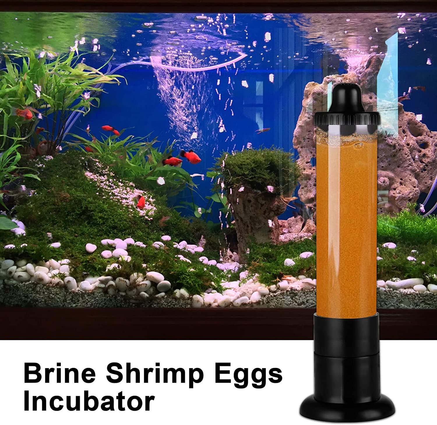 Brine Shrimp Eggs Incubator, Hatchery Artemia Eggs Hatchery Kit, Fish Tank  Hatch Tool for Aquarium Brine Shrimp Eggs, Brine Shrimp Eggs Hatcher
