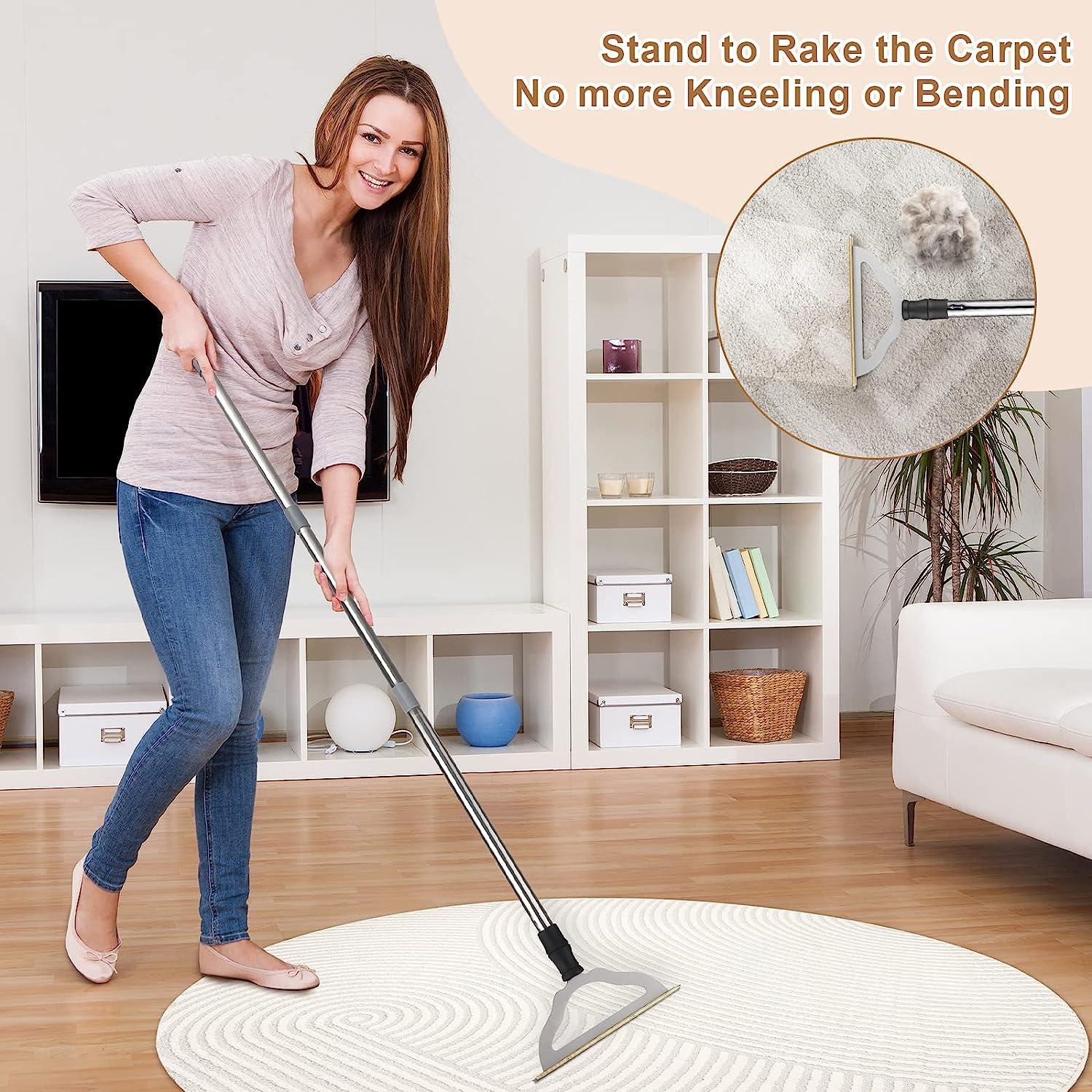 No Handle Carpet Brush