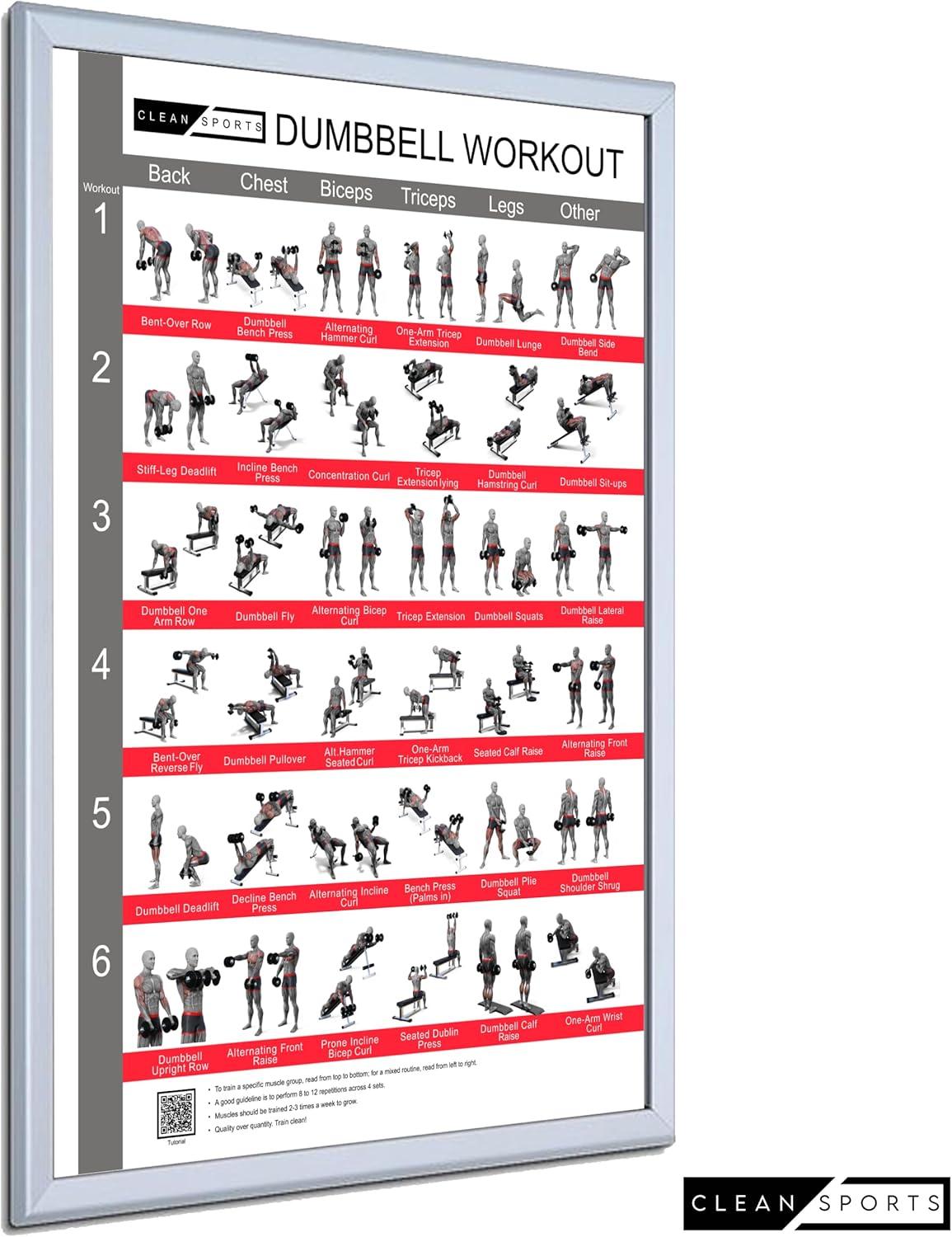Clean Sports Kurzbang Workout Poster A1 6 FullBody Dumbbell Workouts