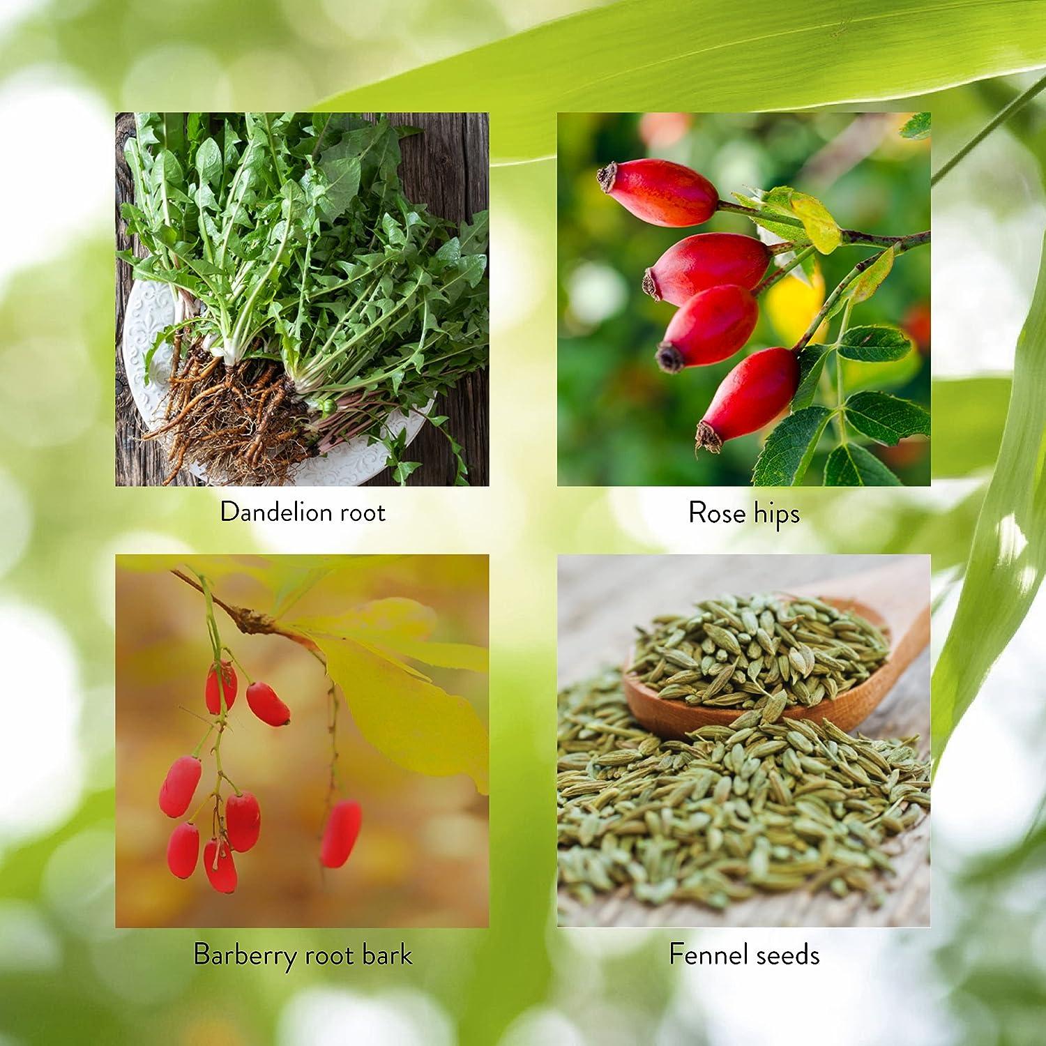 Nature's Sunshine LIVJ 100 Capsules Herbal Blend Supports Digestion