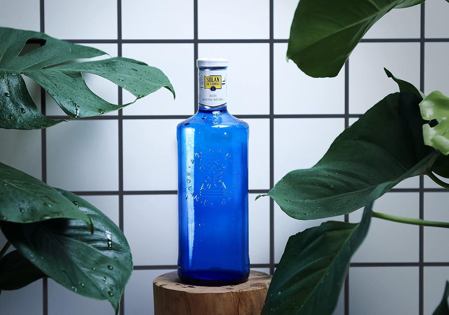 Buy Solan de Cabras Natural Mineral Water 500ml - Still International  Shipping Available | Buy Now with Express International Delivery |  GoSupps.com