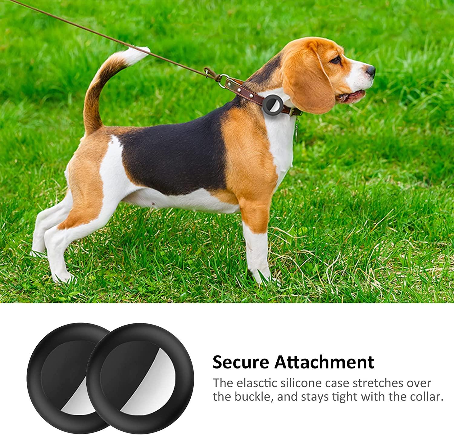 Beagle tracking collars sales