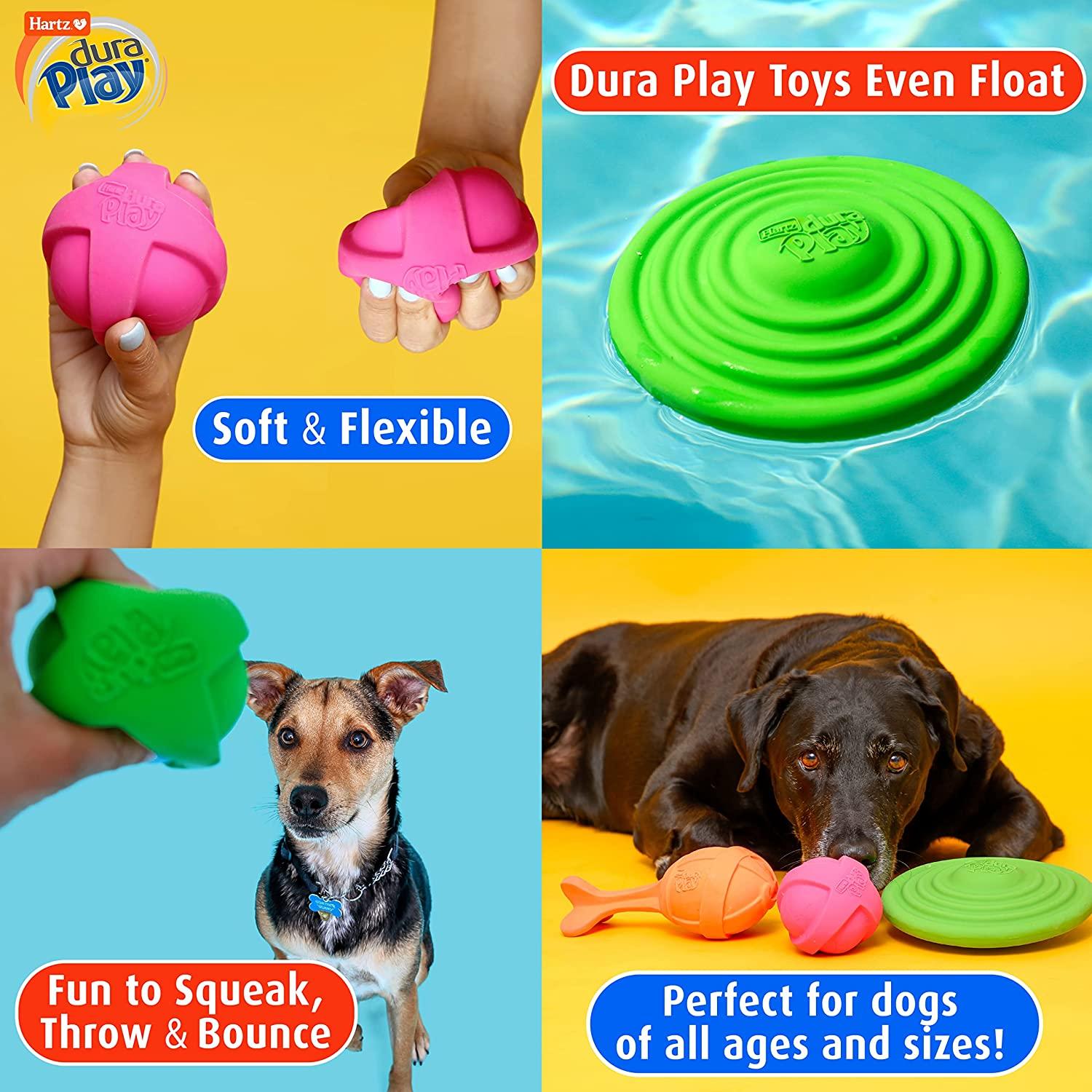 Hartz Dura Play Bacon Scented Squeak Ball Dog Toy, Multiple Dog Toy Sizes &  Pack Sizes Small (3 Count)
