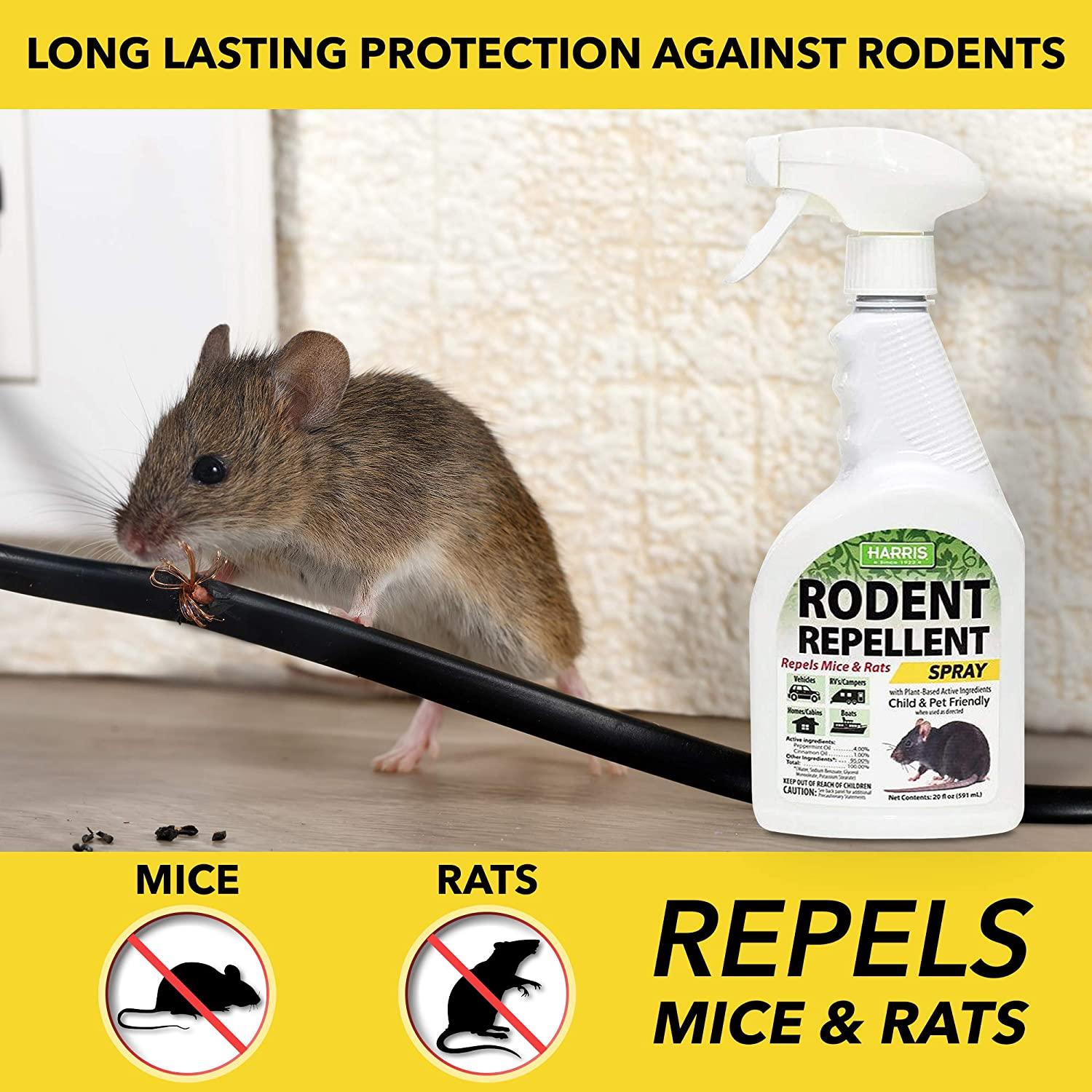 Harris Peppermint Oil Mice & Rodent Repellent Spray for House and Car ...