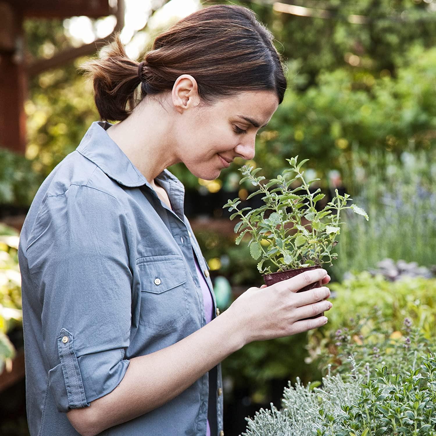 Youtheory Saffron Advanced with Rhodiola 60 Count Supplement for Mood