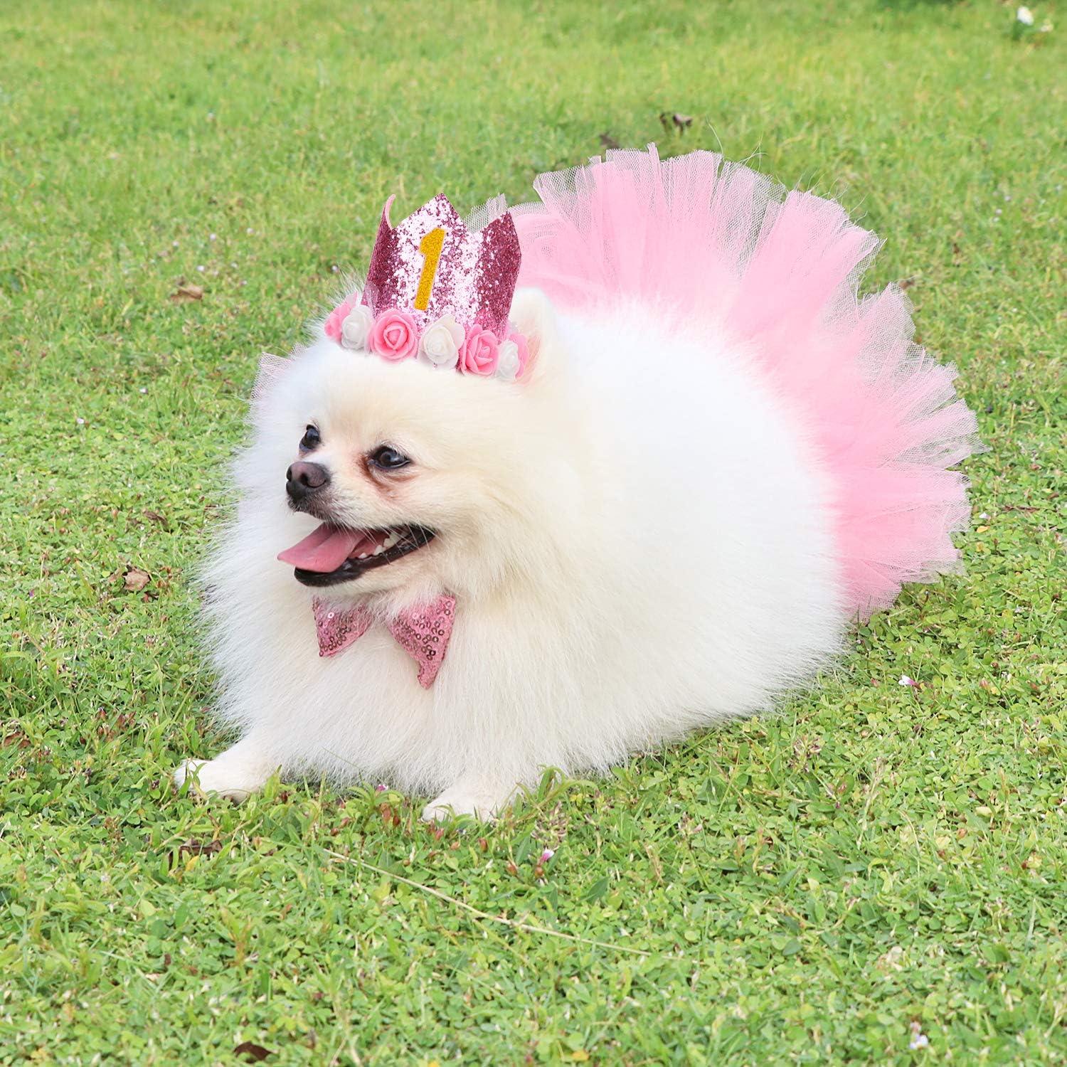Legendog Dog Tutu Skirt & Birthday Party Supplies - Pink Girl Dog Birthday  Outfit with Hat, Bowtie & Dress for Small Dogs | Buy Now with Express  International Delivery | GoSupps.com