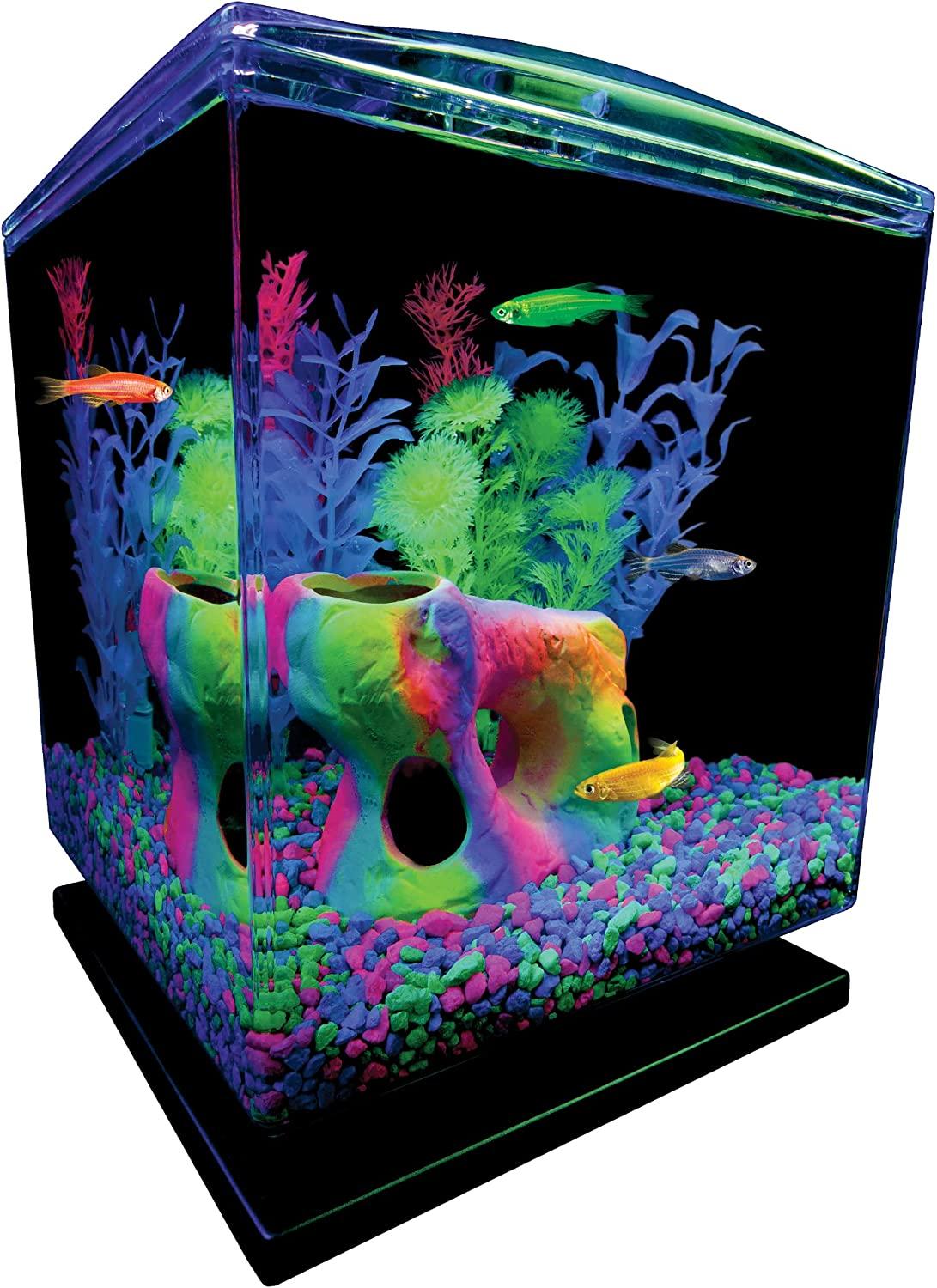 GloFish Aquarium Gravel, Fluorescent Colors, Complements GloFish Tanks,  5-Pound Bag Pink/Green/Blue Fluorescent