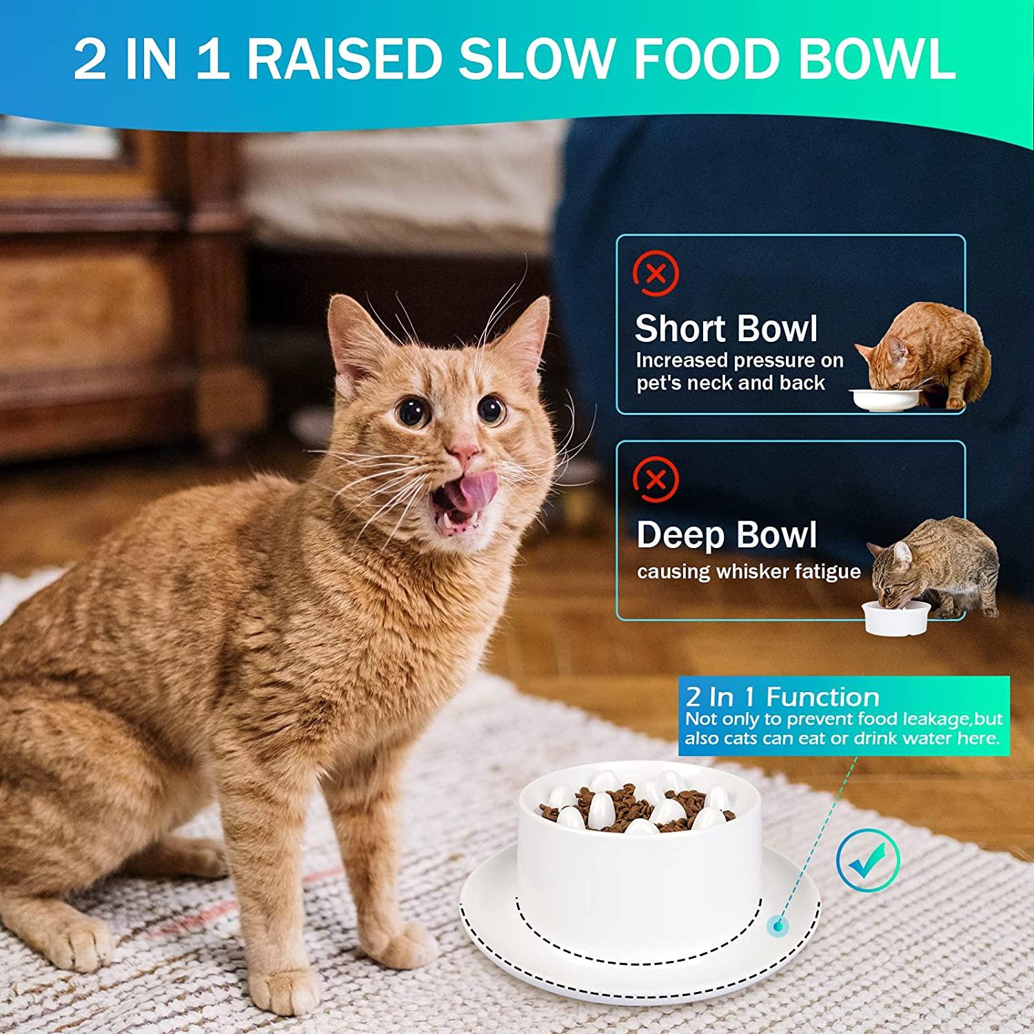 SpeedyPet Interactive Dog & Cat Slow Food Puzzle Feeder