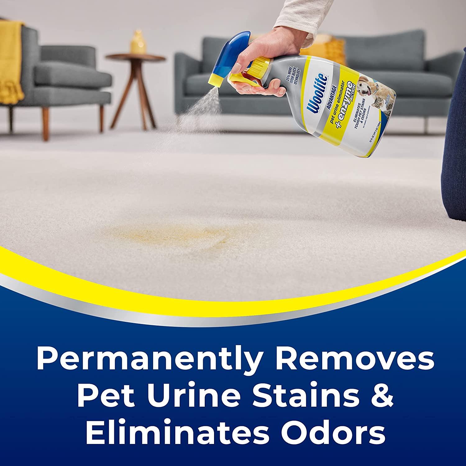 Woolite Advantage Pet Urine Eliminator 44 Fl Oz Pack of 2