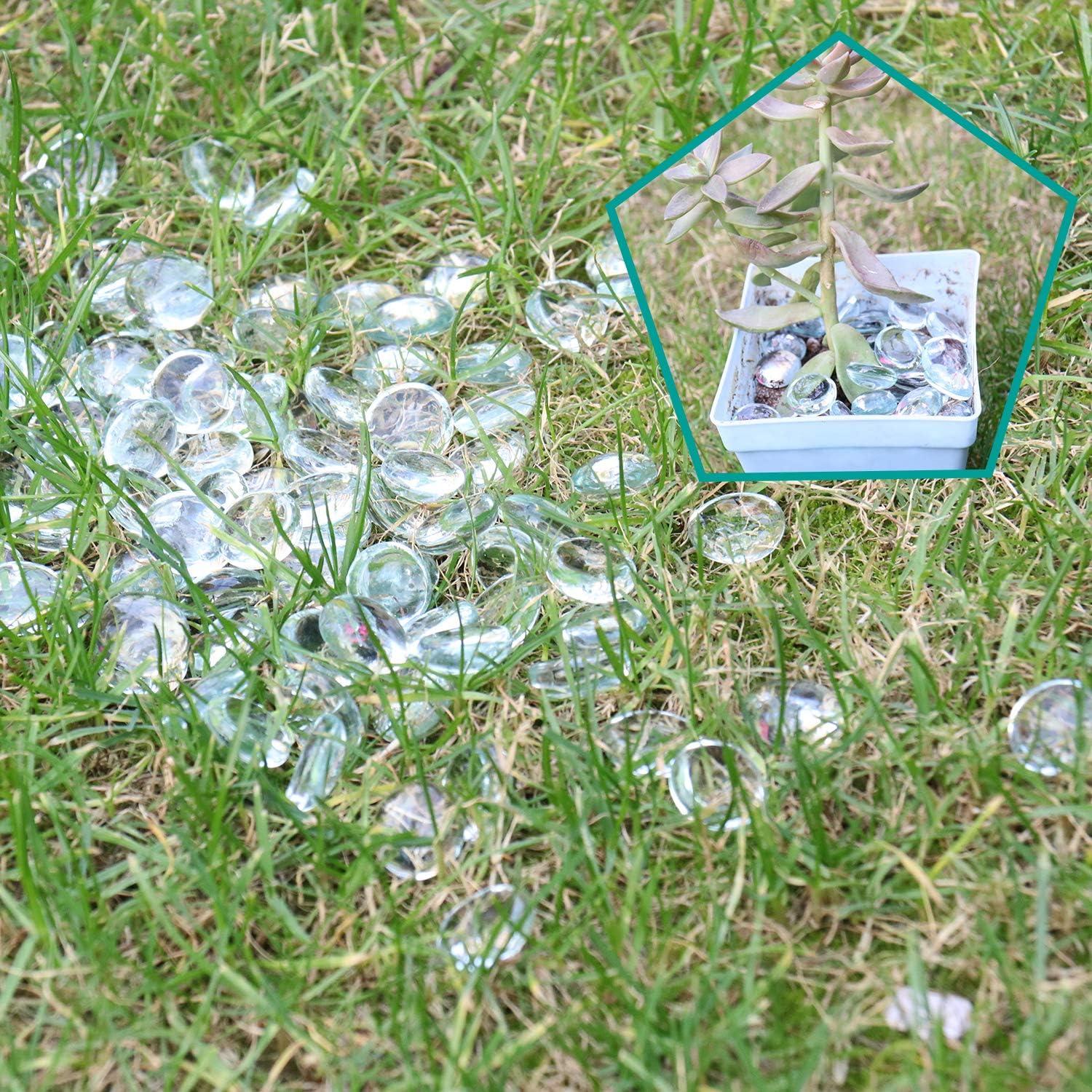 Flat Glass Marbles for Vases 5 LB Clear Decorative Stone Beads for